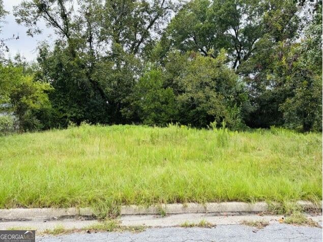 residential lot for sale at 1681 Hester Street, Augusta, GA 30904
