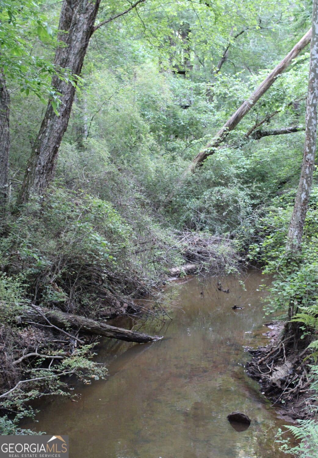 unimproved land for sale at 1135 Mount Moriah Road, Auburn, GA 30011 — photo 2