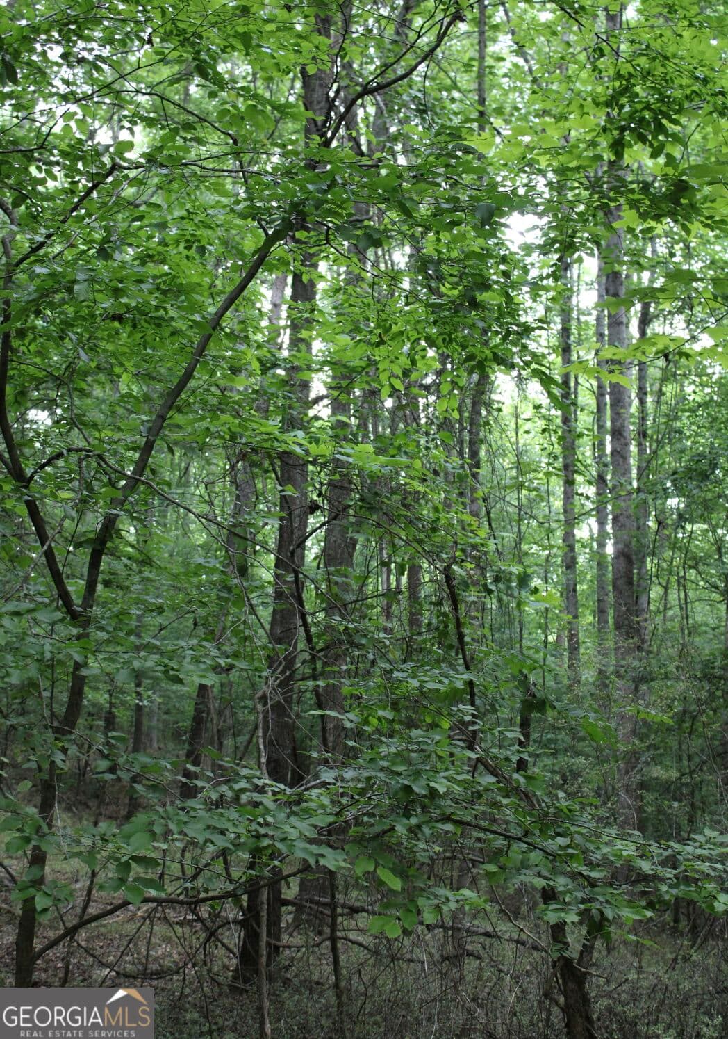 unimproved land for sale at 1135 Mount Moriah Road, Auburn, GA 30011 — photo 3