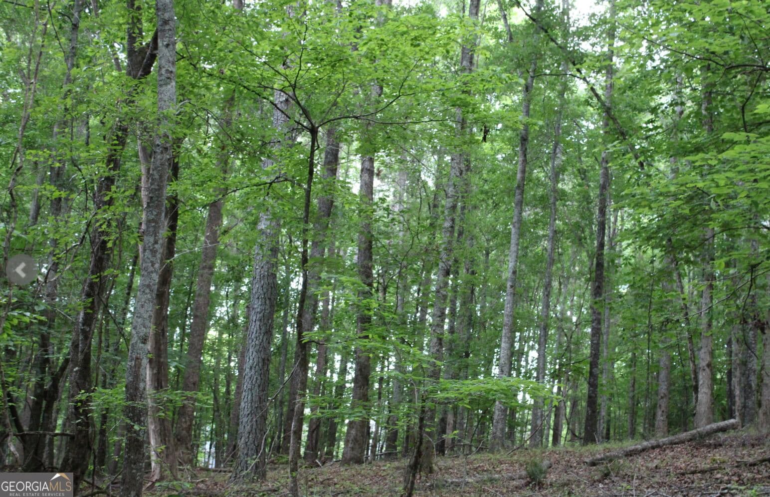 unimproved land for sale at 1135 Mount Moriah Road, Auburn, GA 30011 — photo 5