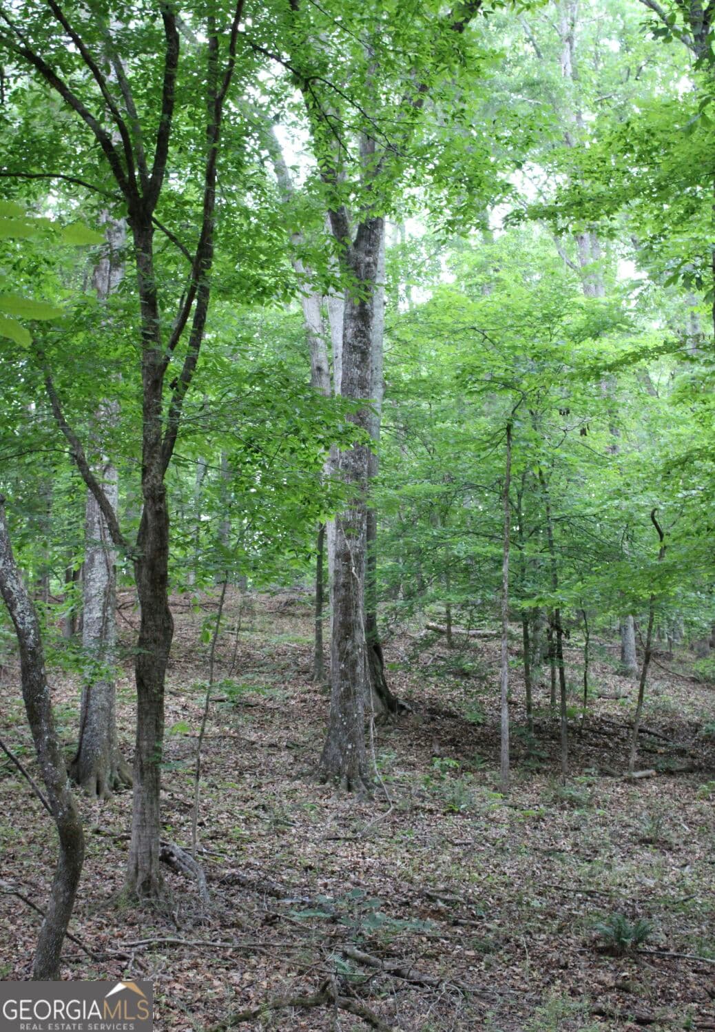 unimproved land for sale at 1135 Mount Moriah Road, Auburn, GA 30011 — photo 4