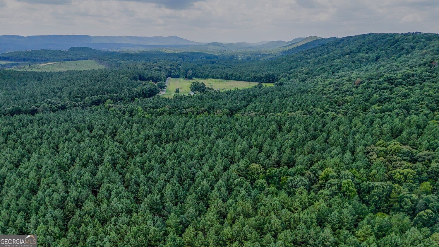 unimproved land for sale at 0 Tract 5 Back Valley Road, Lyerly, GA 30730 — photo 3