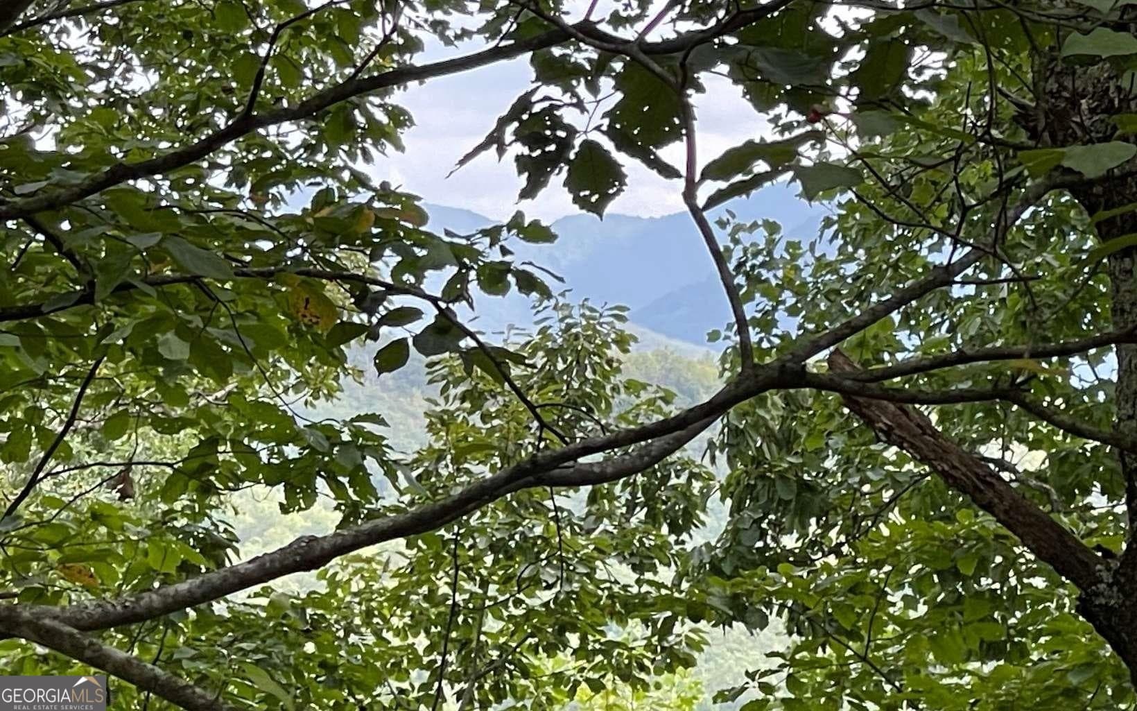 residential lot for sale at LOT 20 Enchanted Ridge Ridge, Hayesville, NC 28904 — photo 2