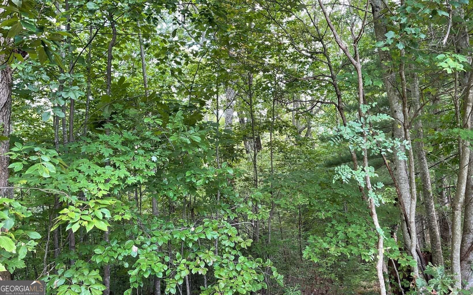 residential lot for sale at LOT 20 Enchanted Ridge Ridge, Hayesville, NC 28904 — photo 6