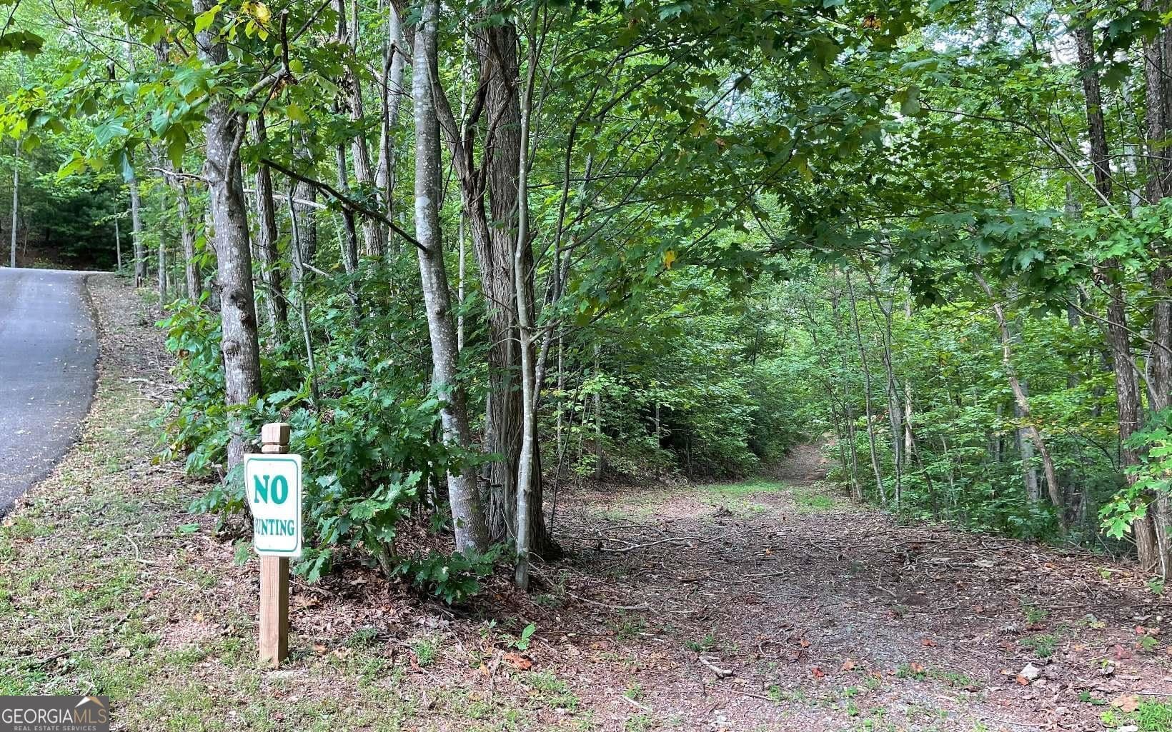 residential lot for sale at LOT 20 Enchanted Ridge Ridge, Hayesville, NC 28904 — photo 7