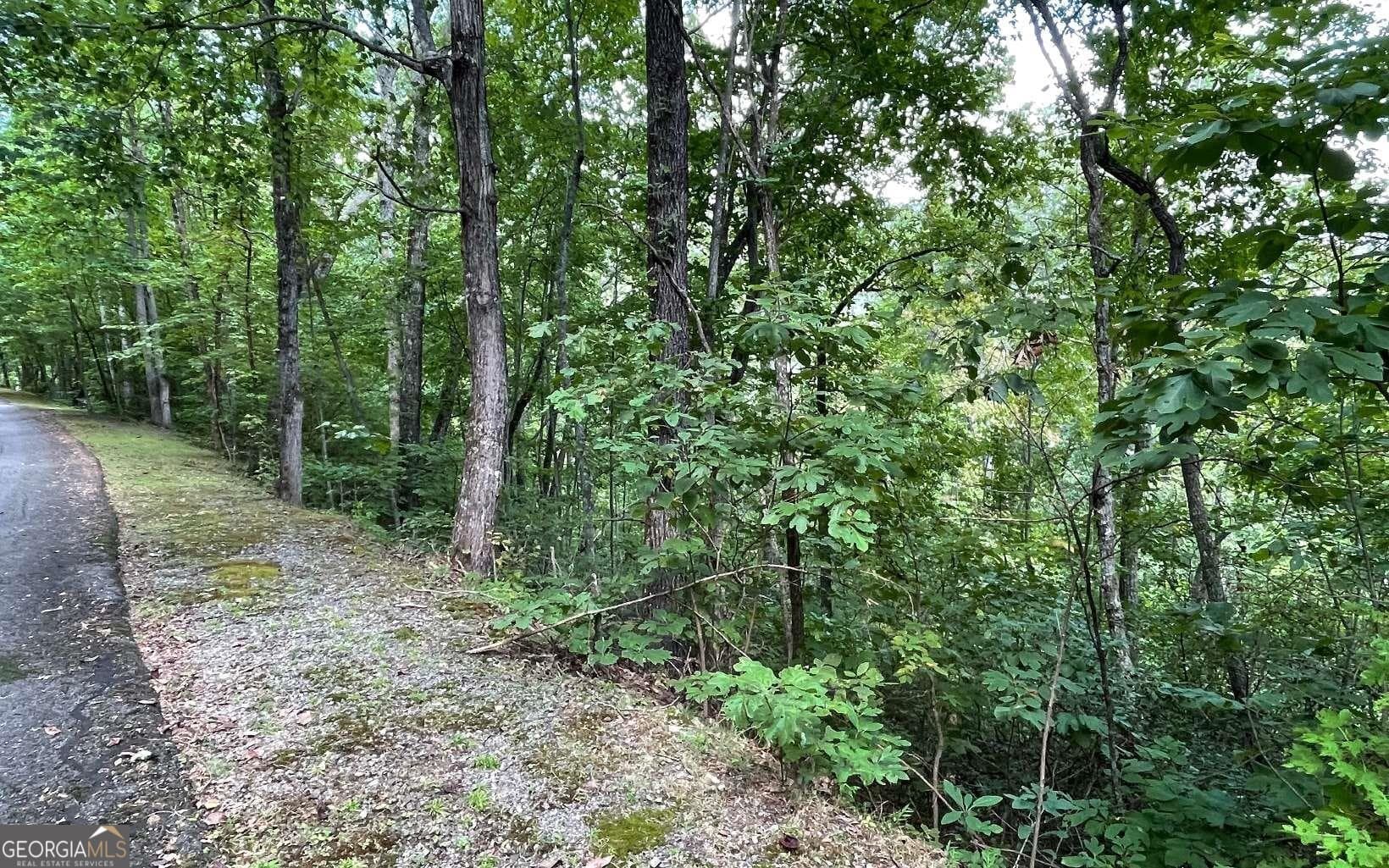 residential lot for sale at LOT 20 Enchanted Ridge Ridge, Hayesville, NC 28904 — photo 3