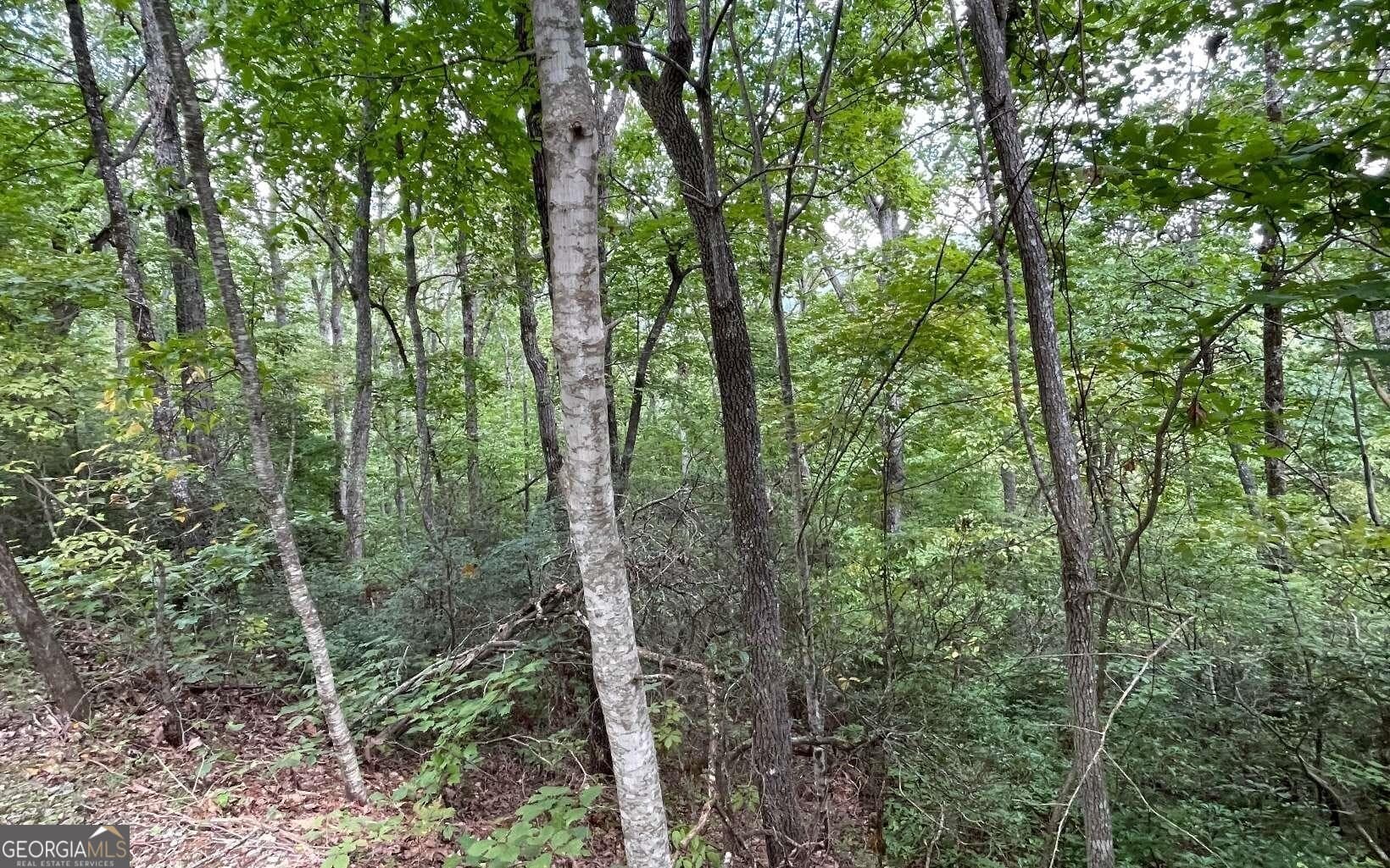 residential lot for sale at LOT 20 Enchanted Ridge Ridge, Hayesville, NC 28904 — photo 1 of 21