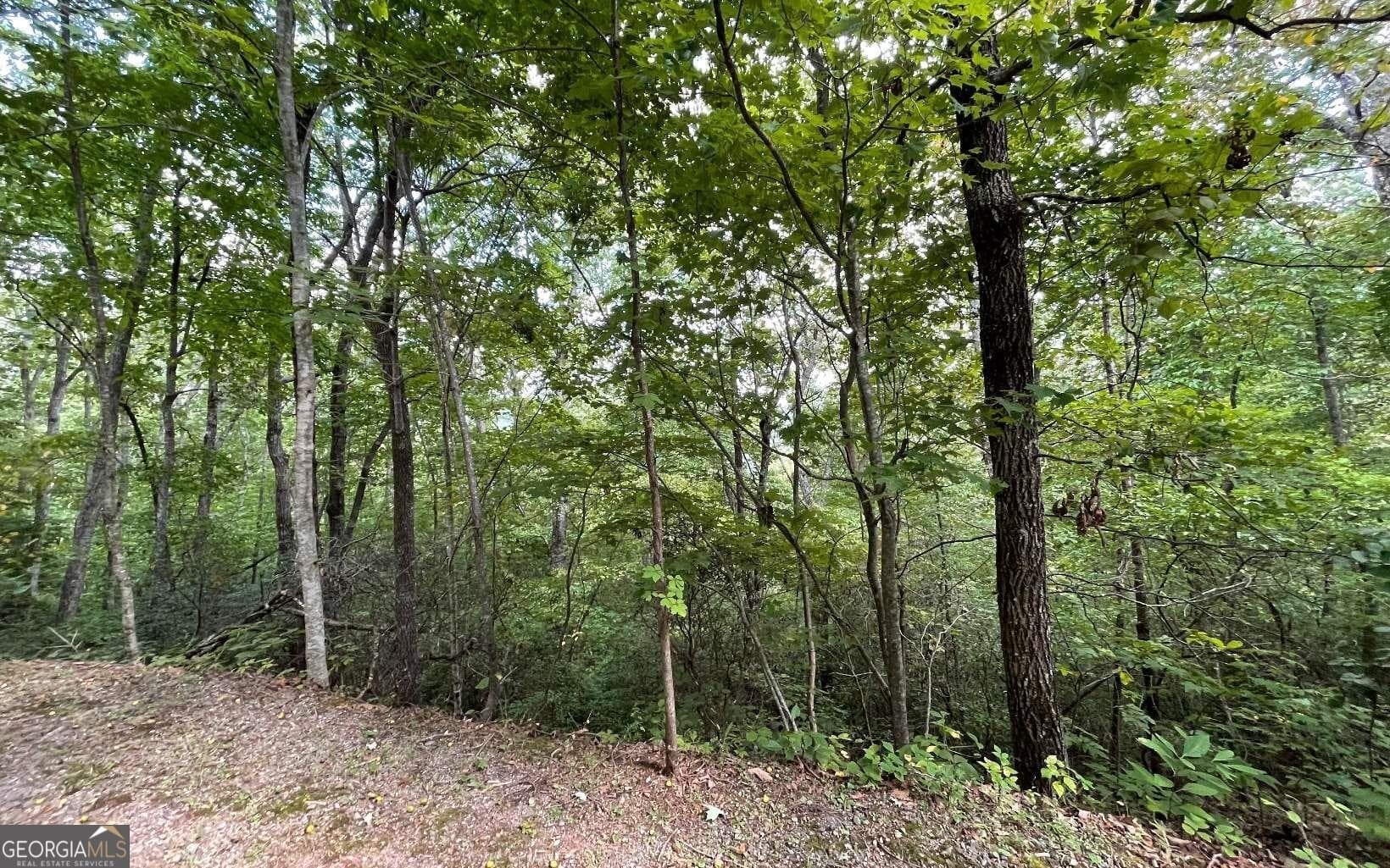 residential lot for sale at LOT 20 Enchanted Ridge Ridge, Hayesville, NC 28904 — photo 5