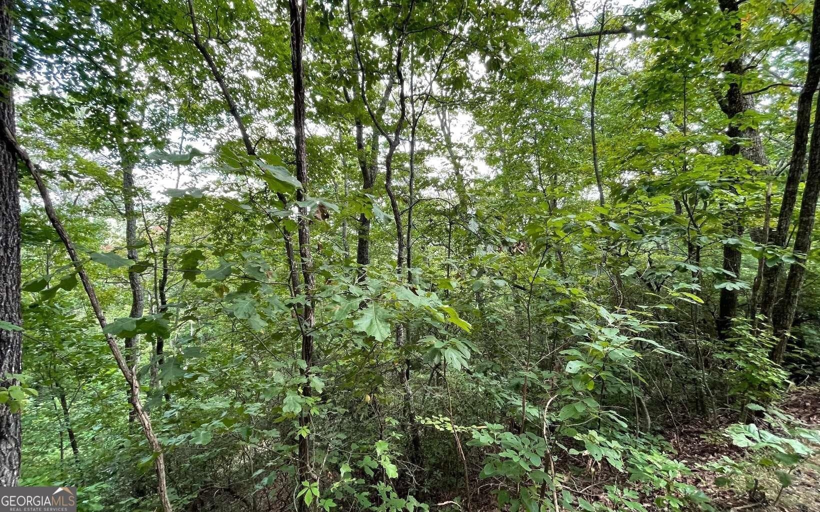 residential lot for sale at LOT 20 Enchanted Ridge Ridge, Hayesville, NC 28904 — photo 9