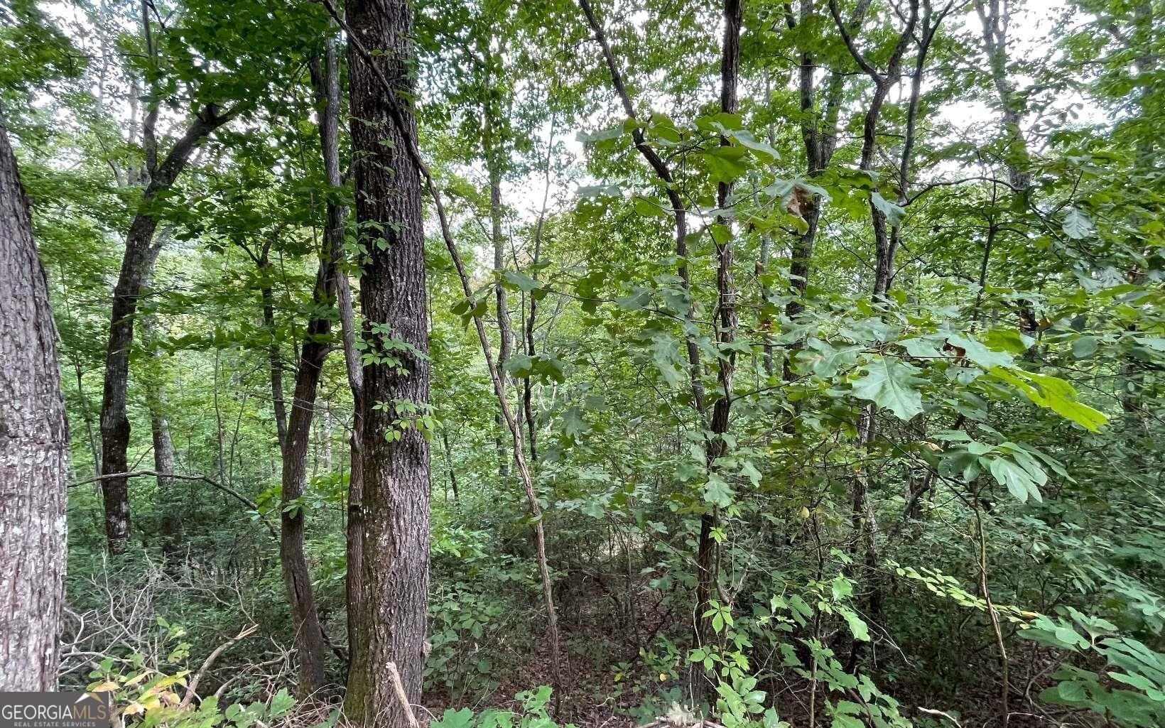 residential lot for sale at LOT 20 Enchanted Ridge Ridge, Hayesville, NC 28904 — photo 10