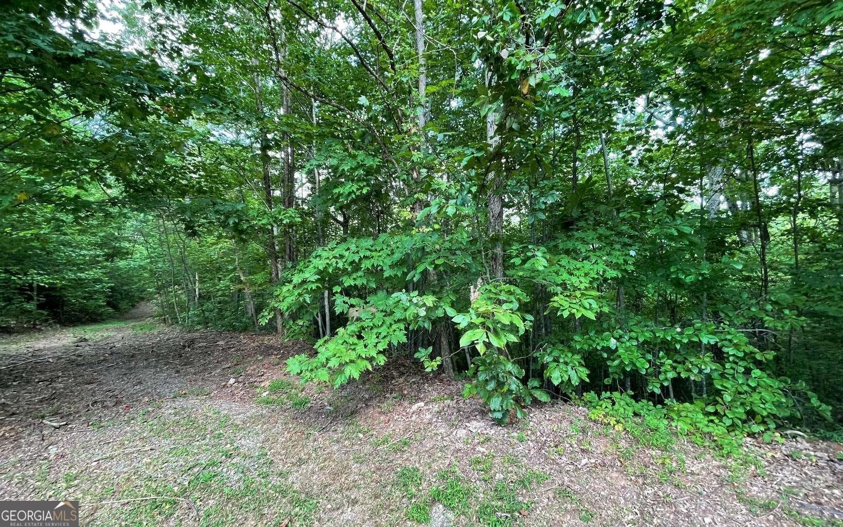 residential lot for sale at LOT 20 Enchanted Ridge Ridge, Hayesville, NC 28904 — photo 4