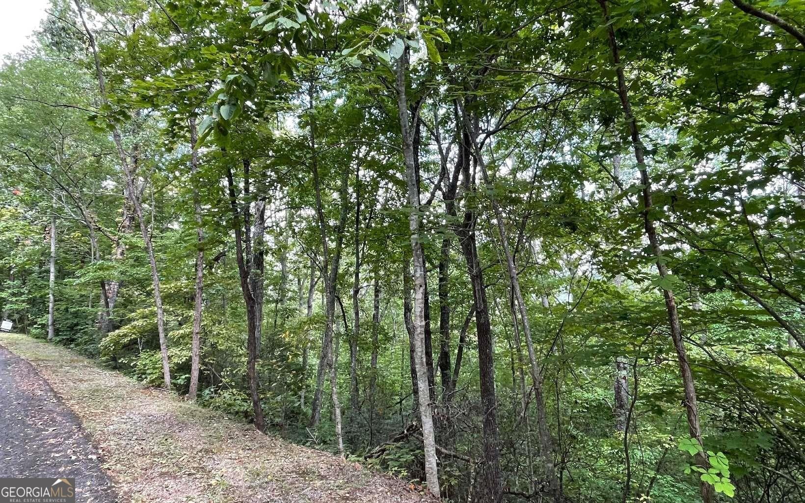 residential lot for sale at LOT 20 Enchanted Ridge Ridge, Hayesville, NC 28904 — photo 8