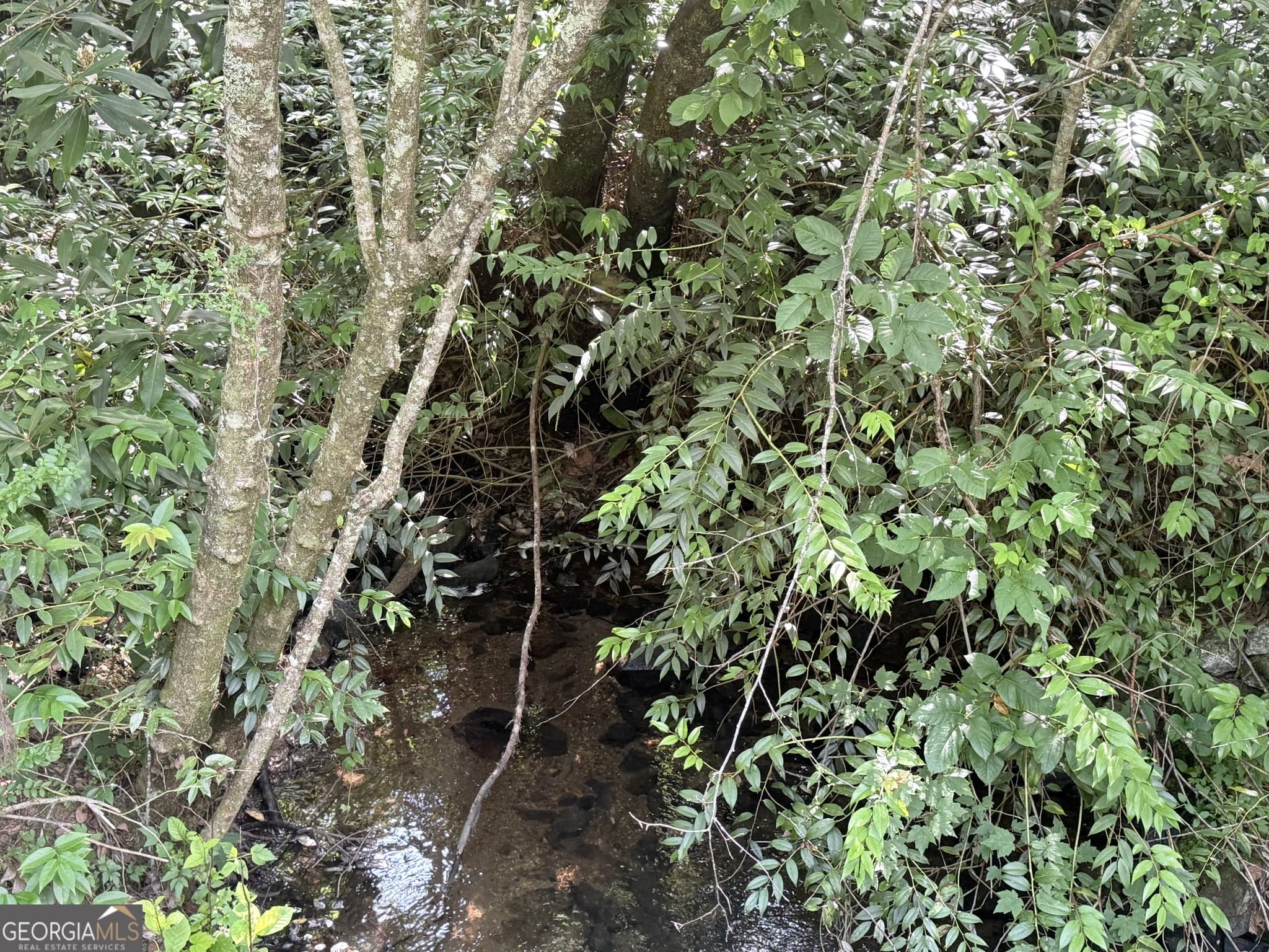 unimproved land for sale at 0 Hwy 76, Clayton, GA 30525 — photo 6