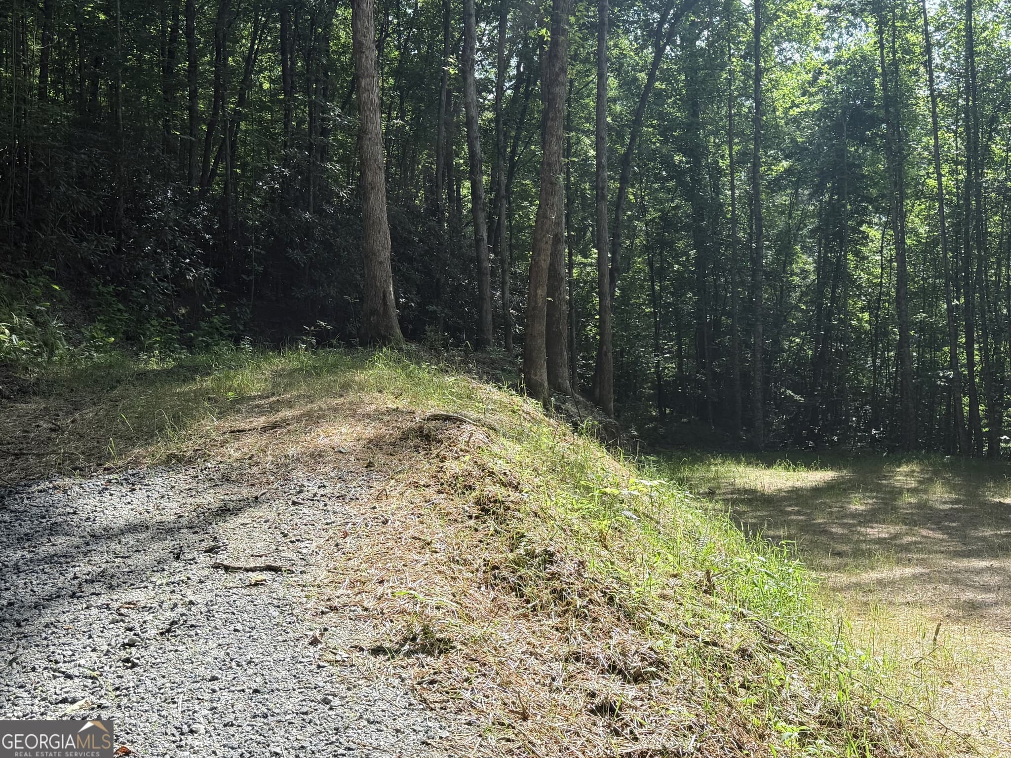 unimproved land for sale at 0 Hwy 76, Clayton, GA 30525 — photo 7