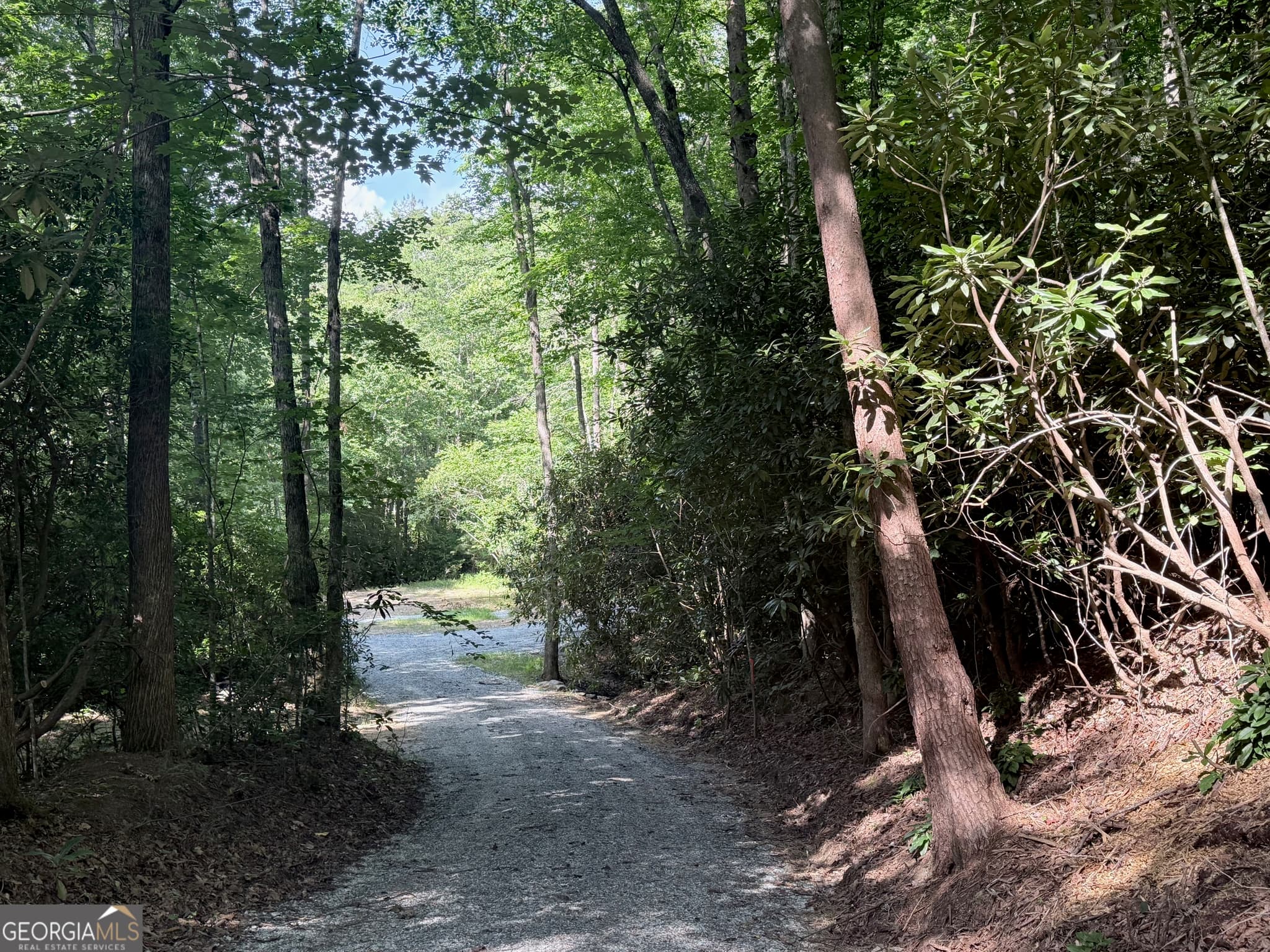 unimproved land for sale at 0 Hwy 76, Clayton, GA 30525 — photo 3