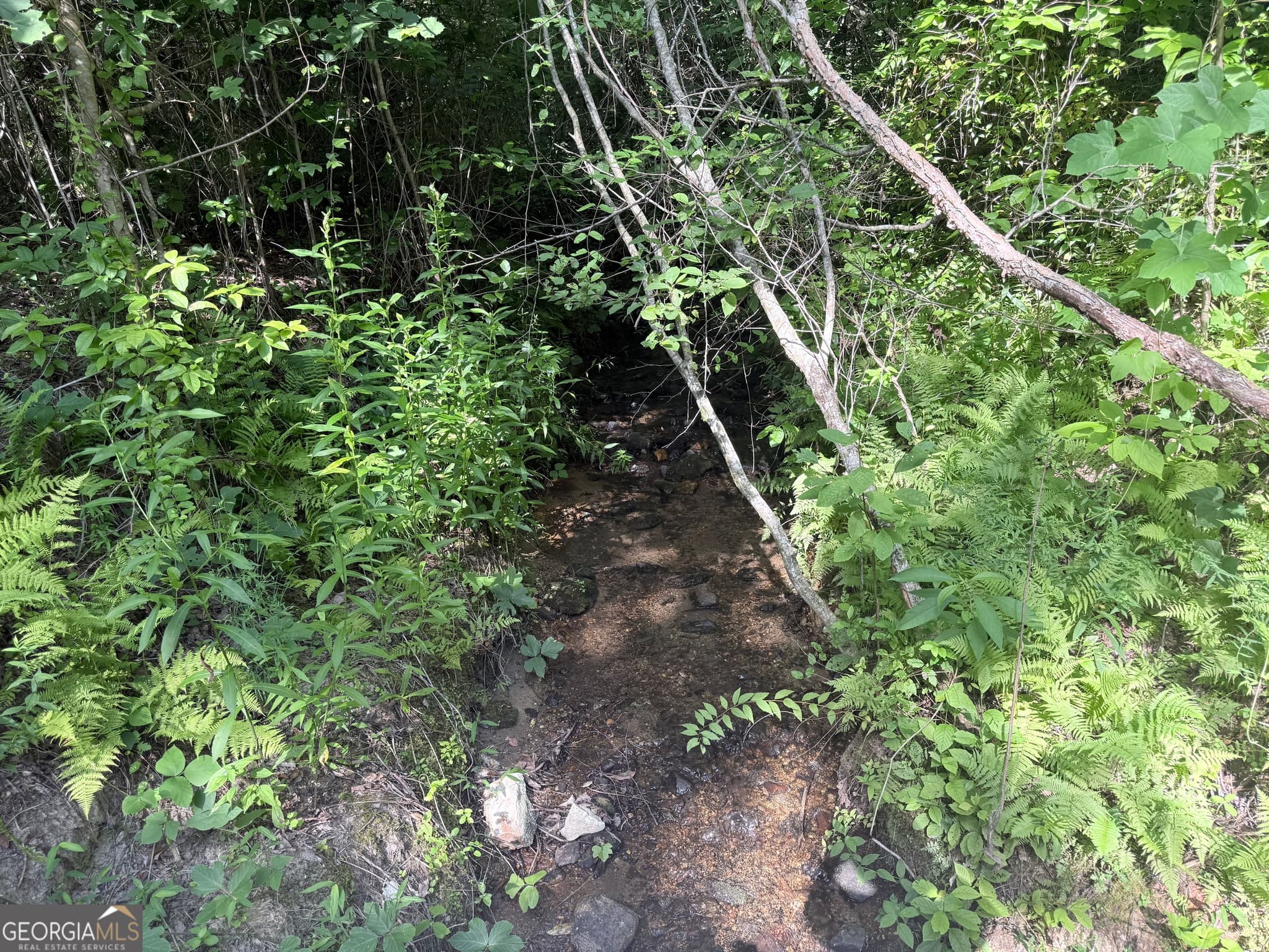 unimproved land for sale at 0 Hwy 76, Clayton, GA 30525 — photo 5