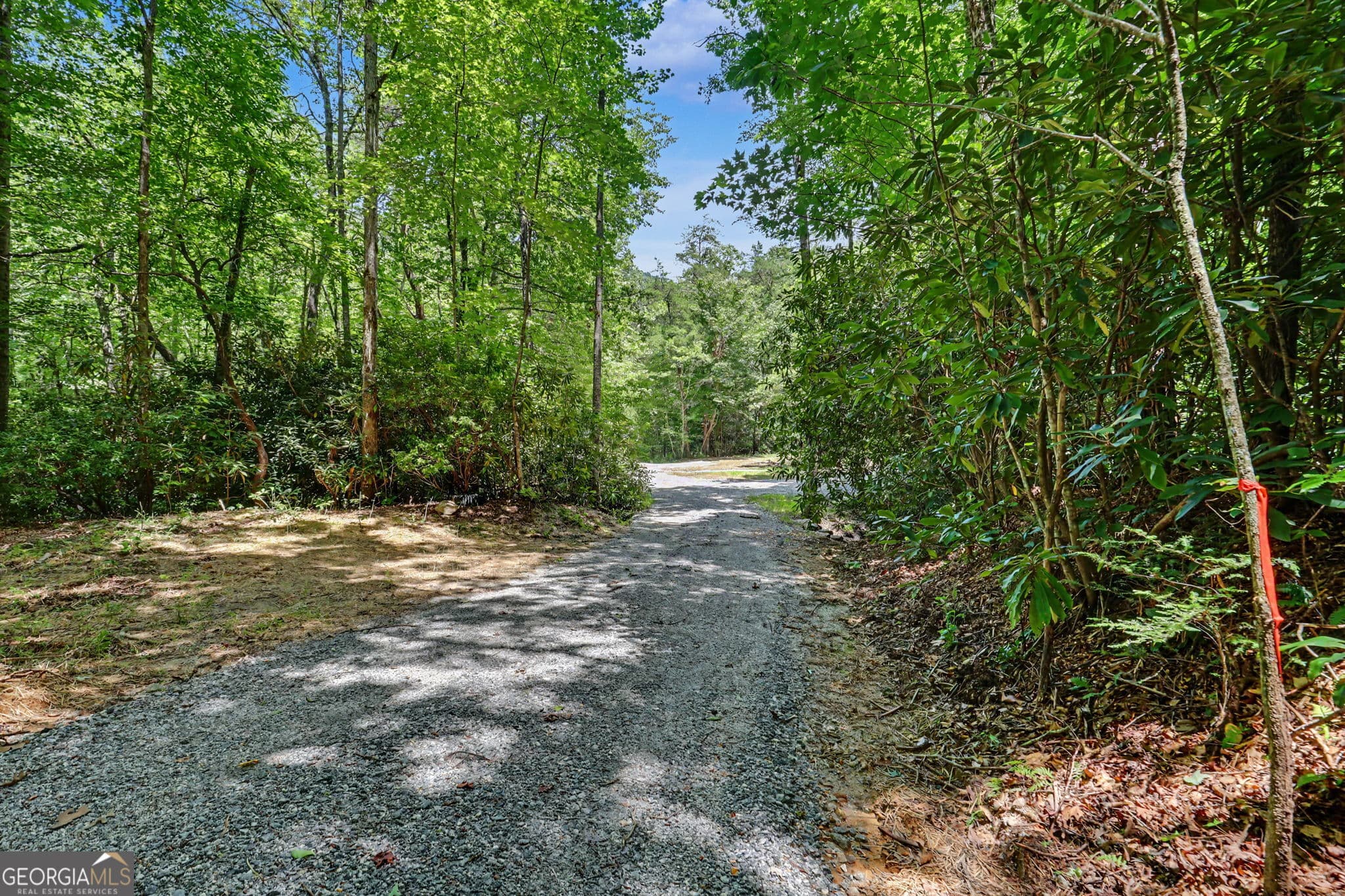unimproved land for sale at 0 Hwy 76, Clayton, GA 30525 — photo 9