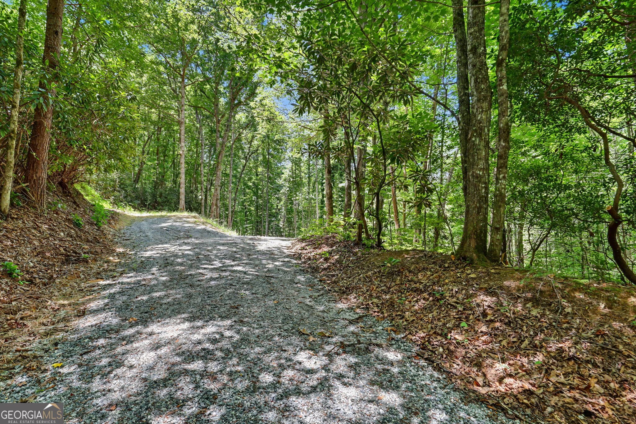 unimproved land for sale at 0 Hwy 76, Clayton, GA 30525 — photo 10