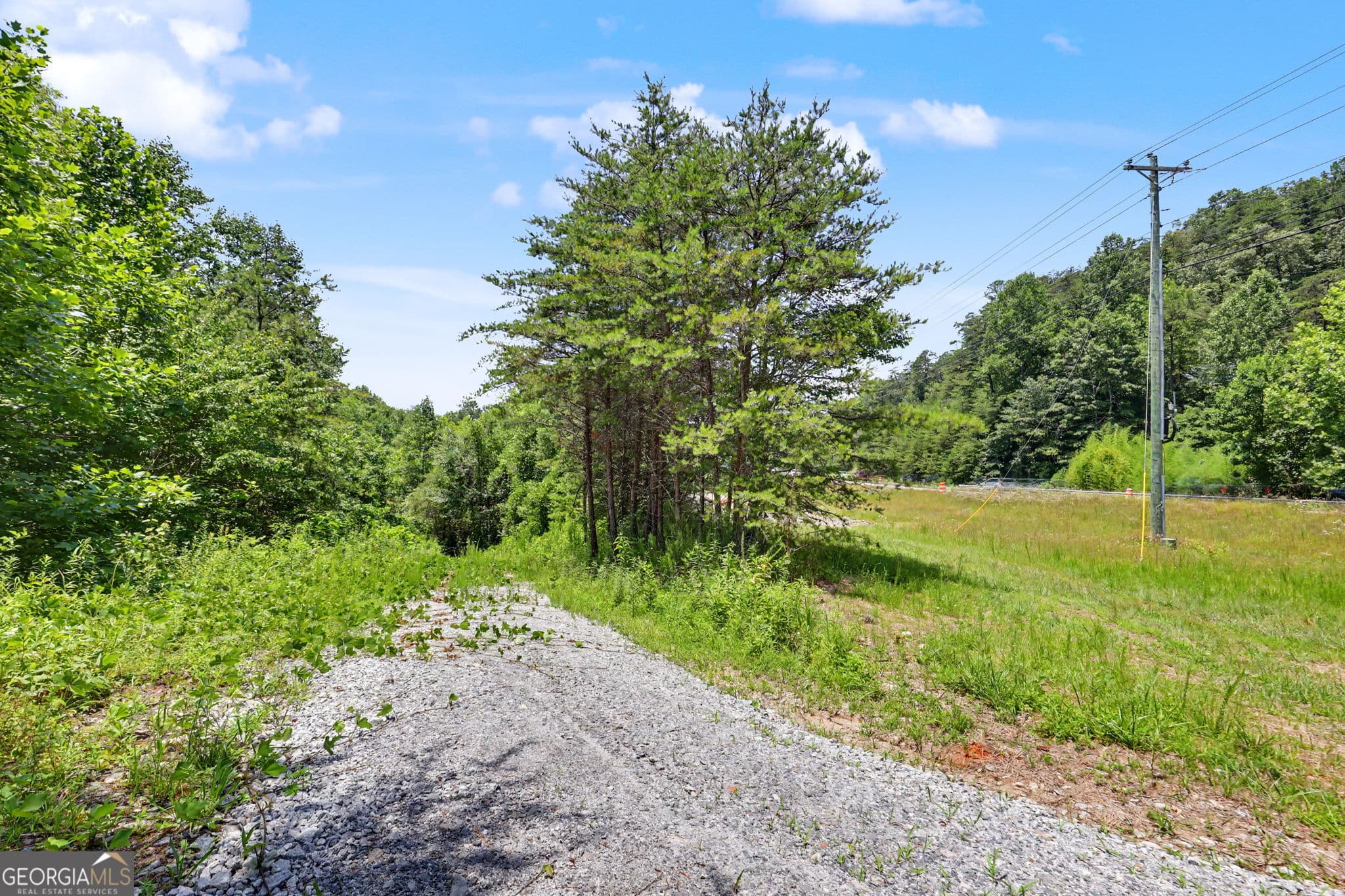 unimproved land for sale at 0 Hwy 76, Clayton, GA 30525 — photo 8