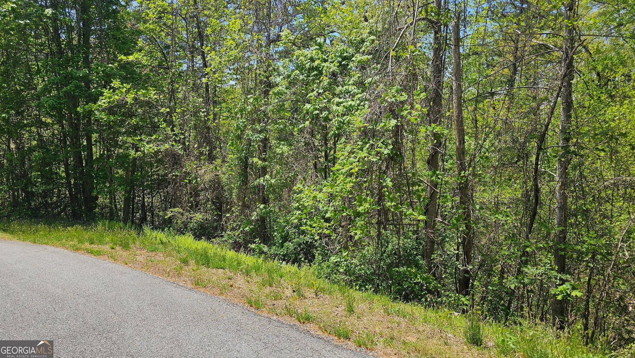 residential lot for sale at 0 Heavenly Circle 19, Clayton, GA 30525 — photo 2