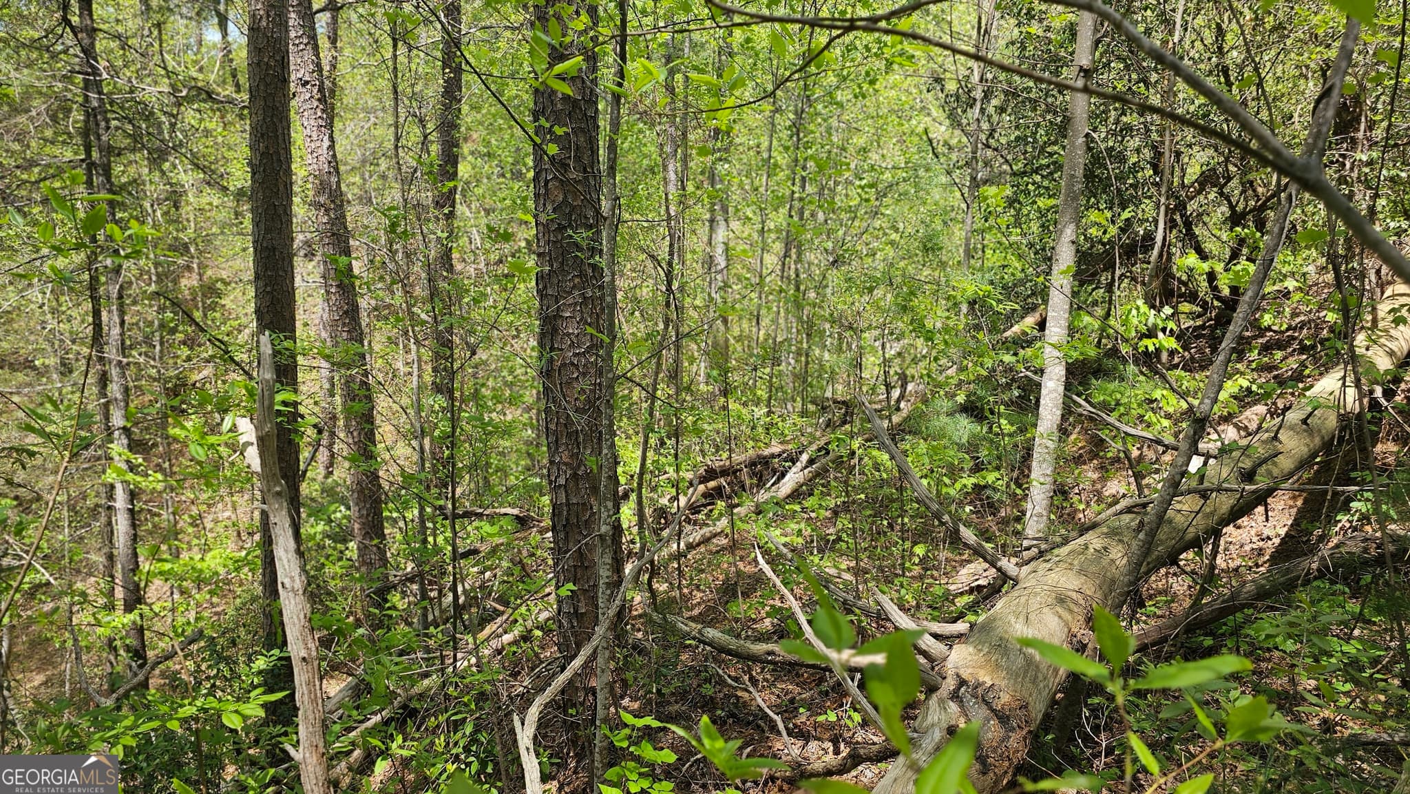 residential lot for sale at 0 Heavenly Circle 19, Clayton, GA 30525 — photo 6