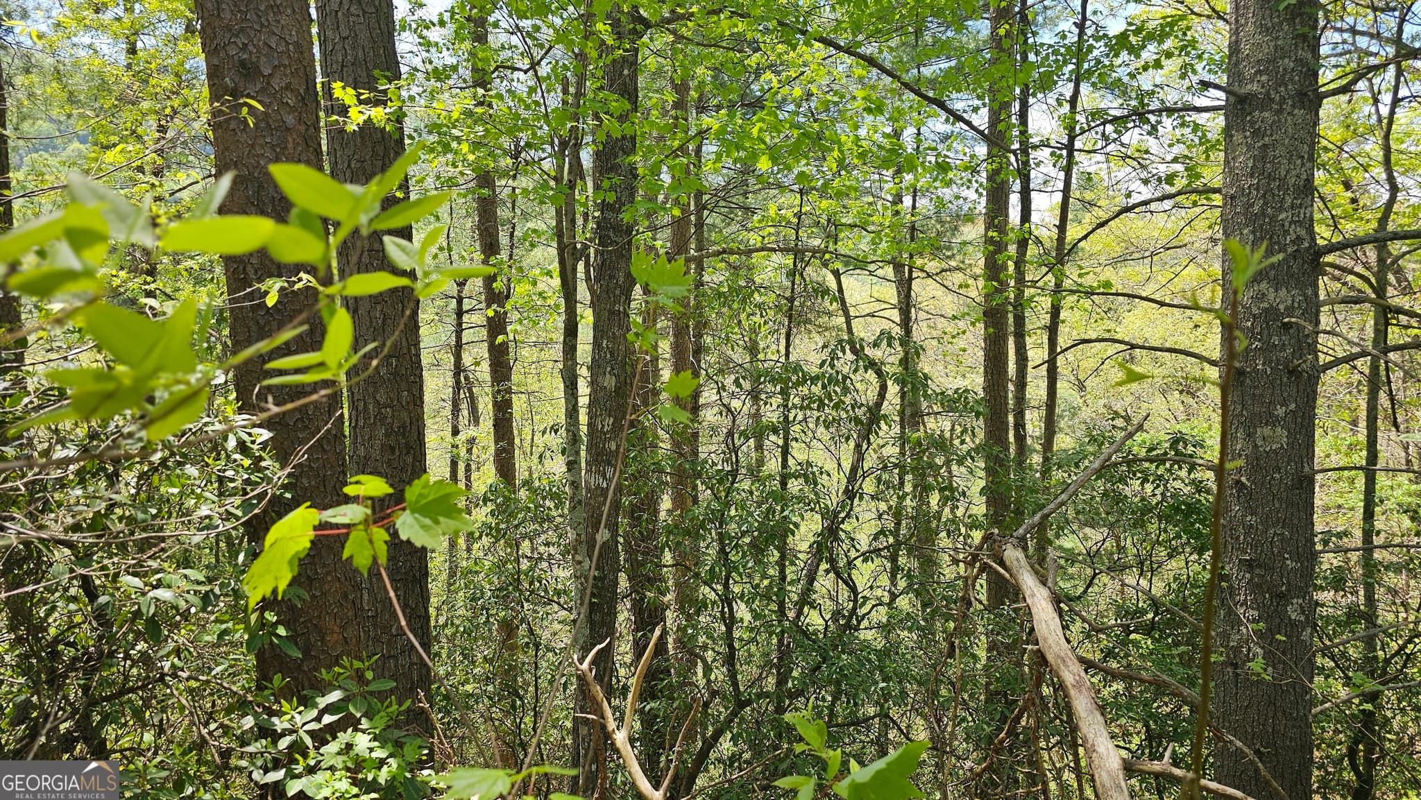 residential lot for sale at 0 Heavenly Circle 19, Clayton, GA 30525 — photo 7