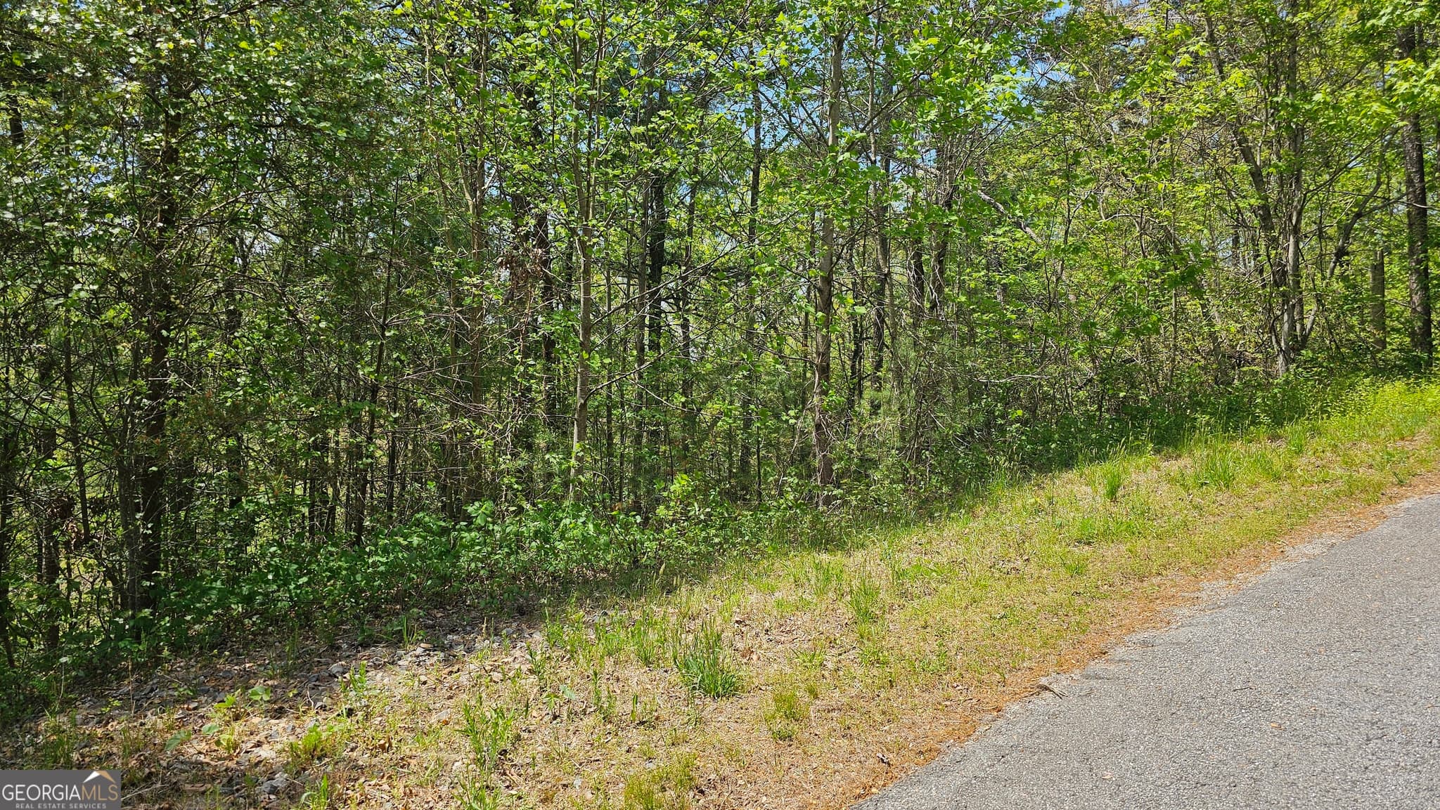 residential lot for sale at 0 Heavenly Circle 19, Clayton, GA 30525 — photo 3