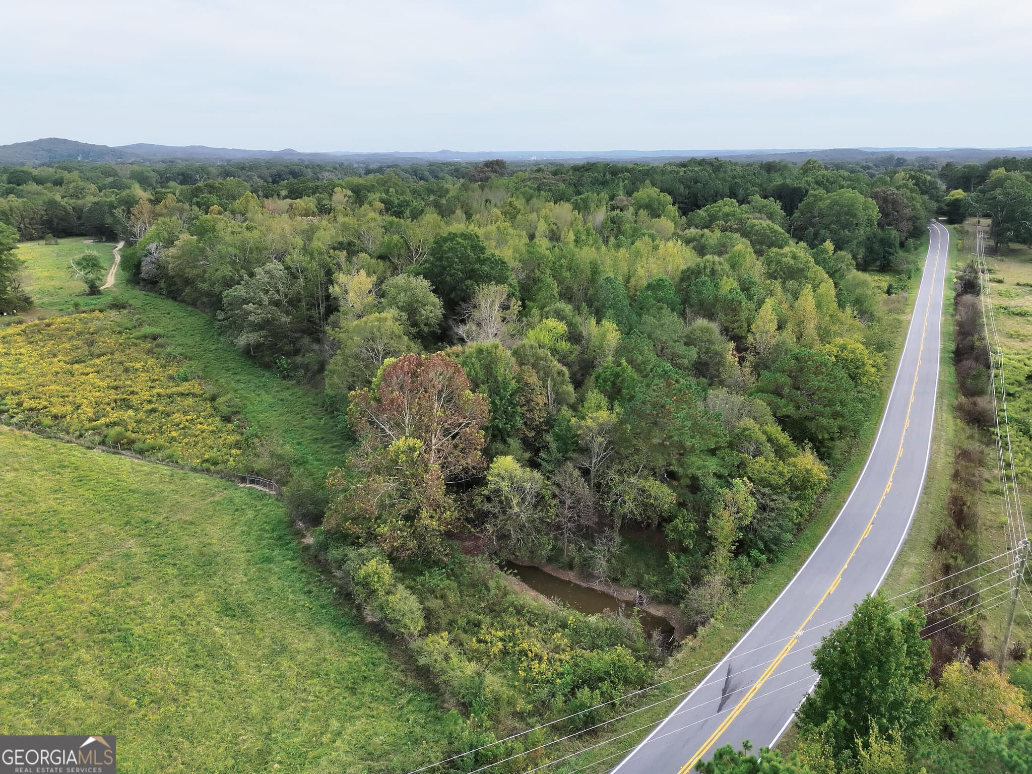 agriculture for sale at 0 Flint Hill Road, Aragon, GA 30104 — photo 2