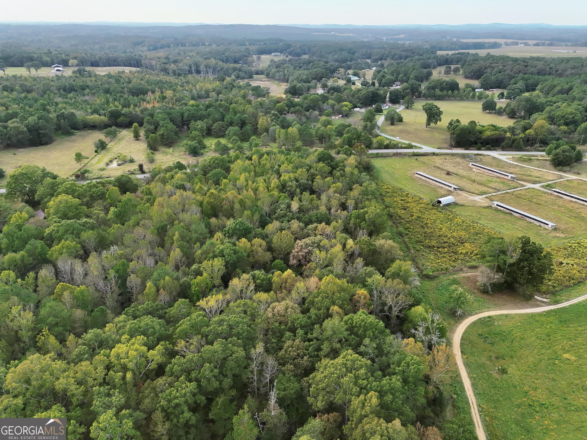 agriculture for sale at 0 Flint Hill Road, Aragon, GA 30104 — photo 6