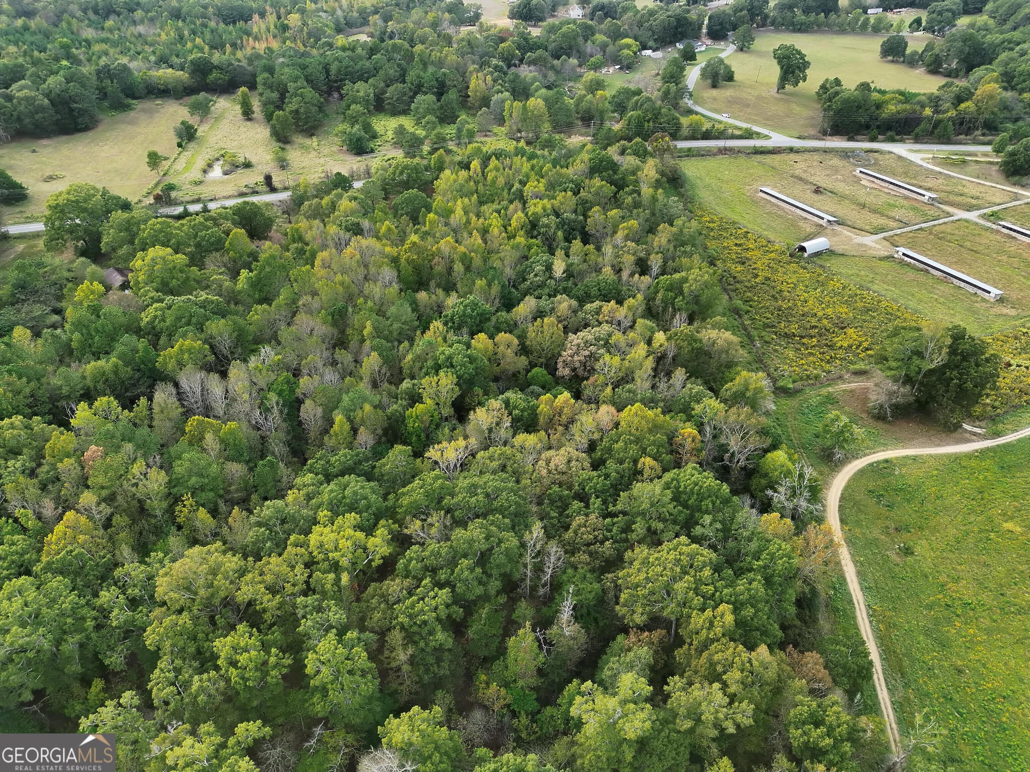 agriculture for sale at 0 Flint Hill Road, Aragon, GA 30104 — photo 7