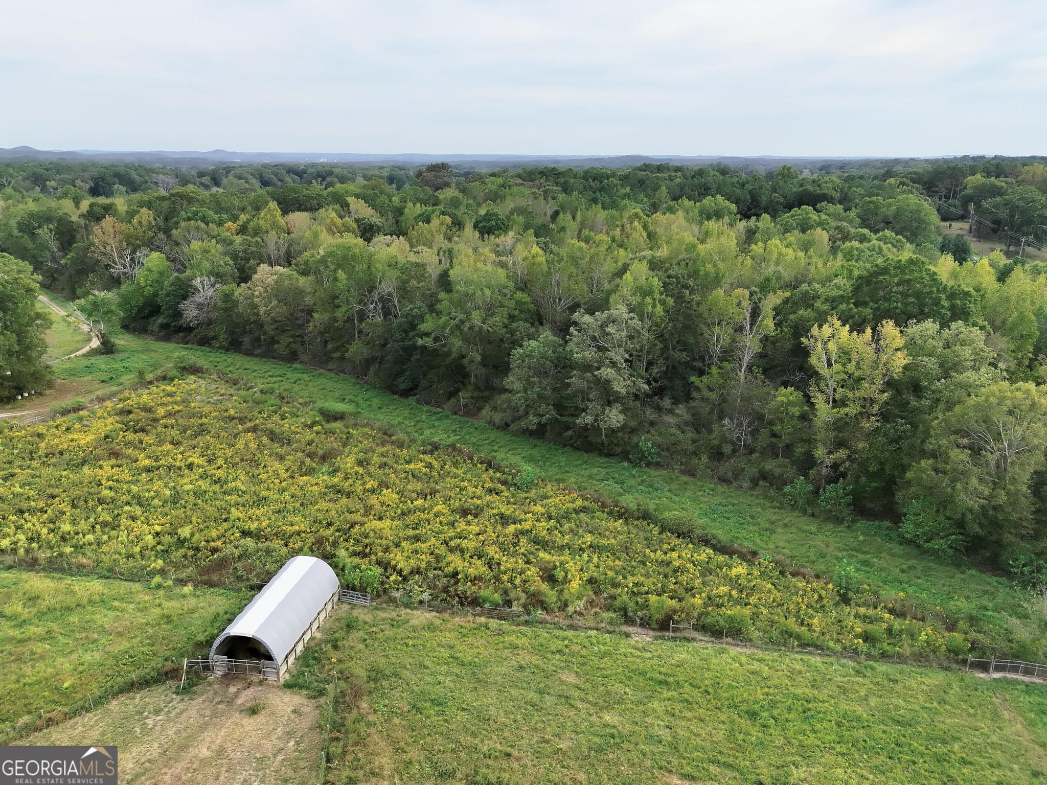 agriculture for sale at 0 Flint Hill Road, Aragon, GA 30104 — photo 3