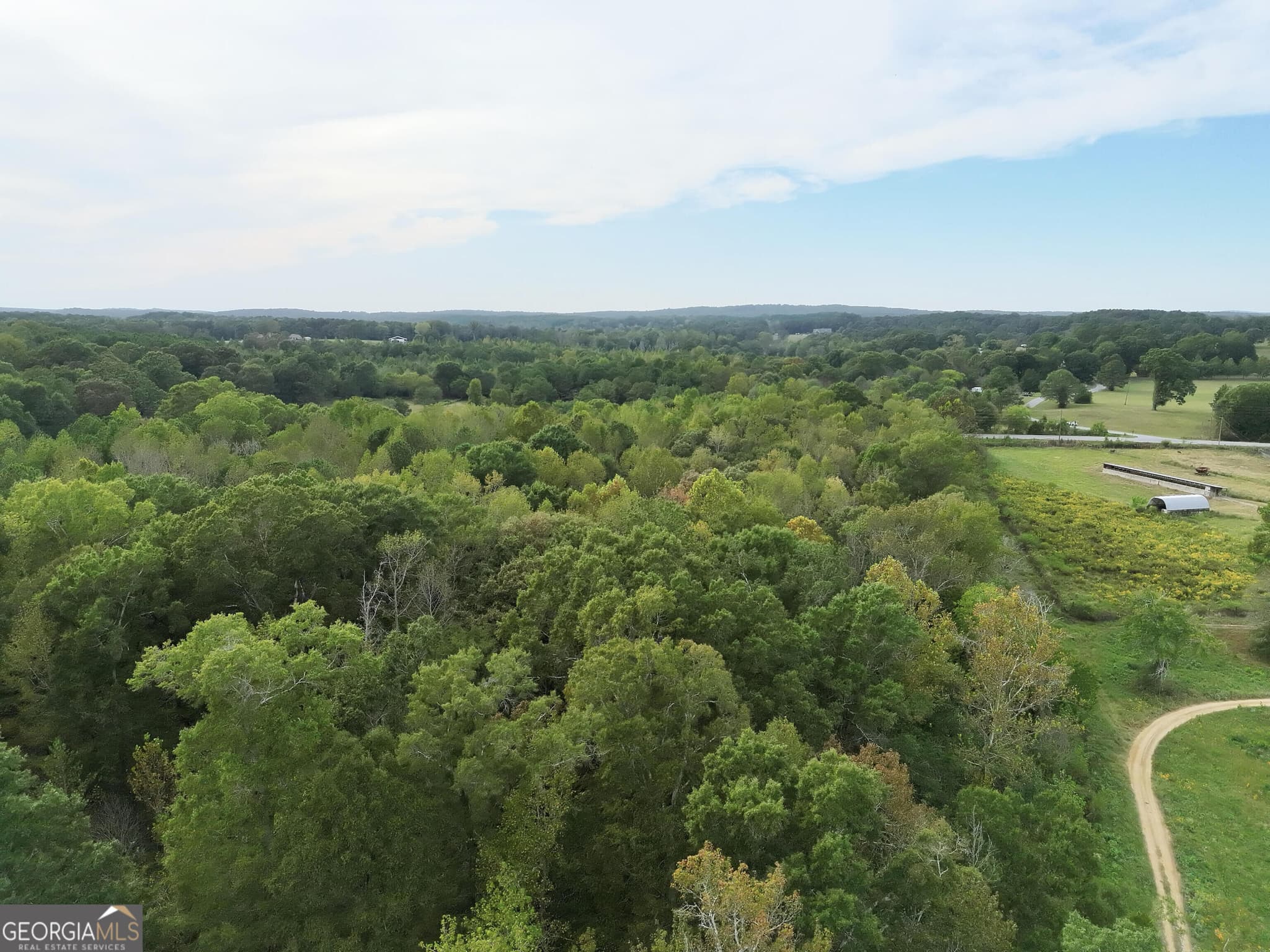 agriculture for sale at 0 Flint Hill Road, Aragon, GA 30104 — photo 5