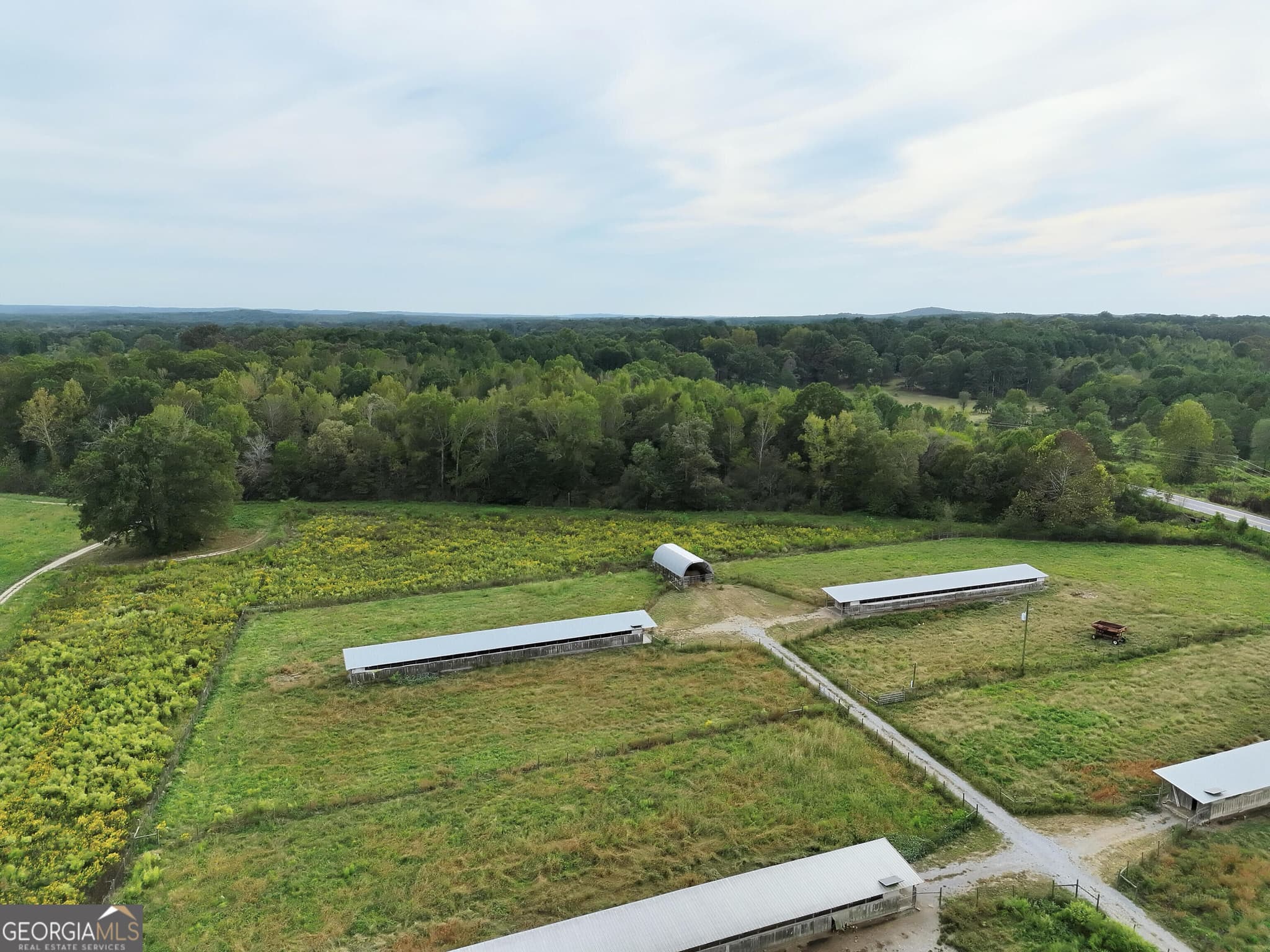agriculture for sale at 0 Flint Hill Road, Aragon, GA 30104 — photo 4