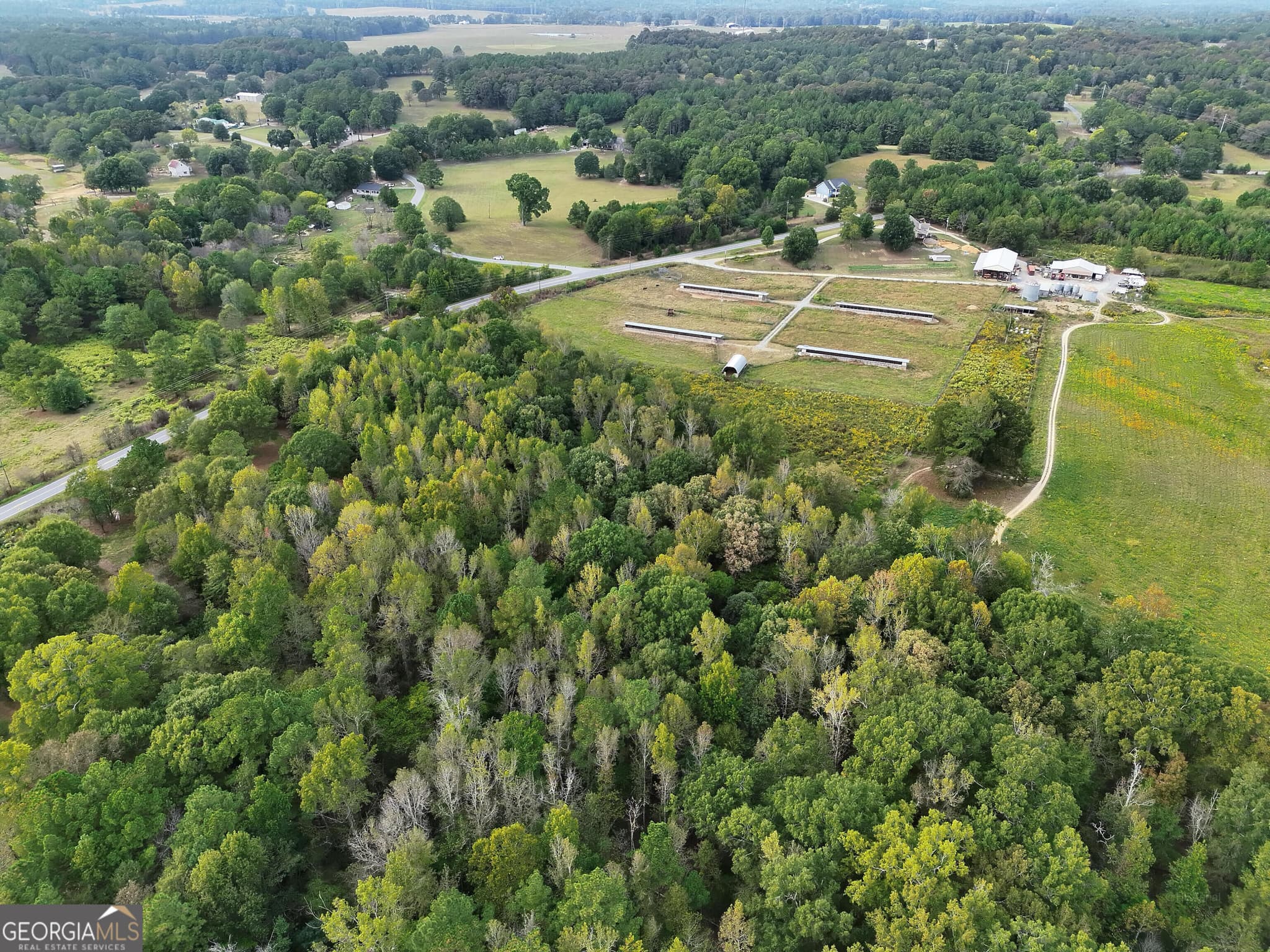 agriculture for sale at 0 Flint Hill Road, Aragon, GA 30104 — photo 8