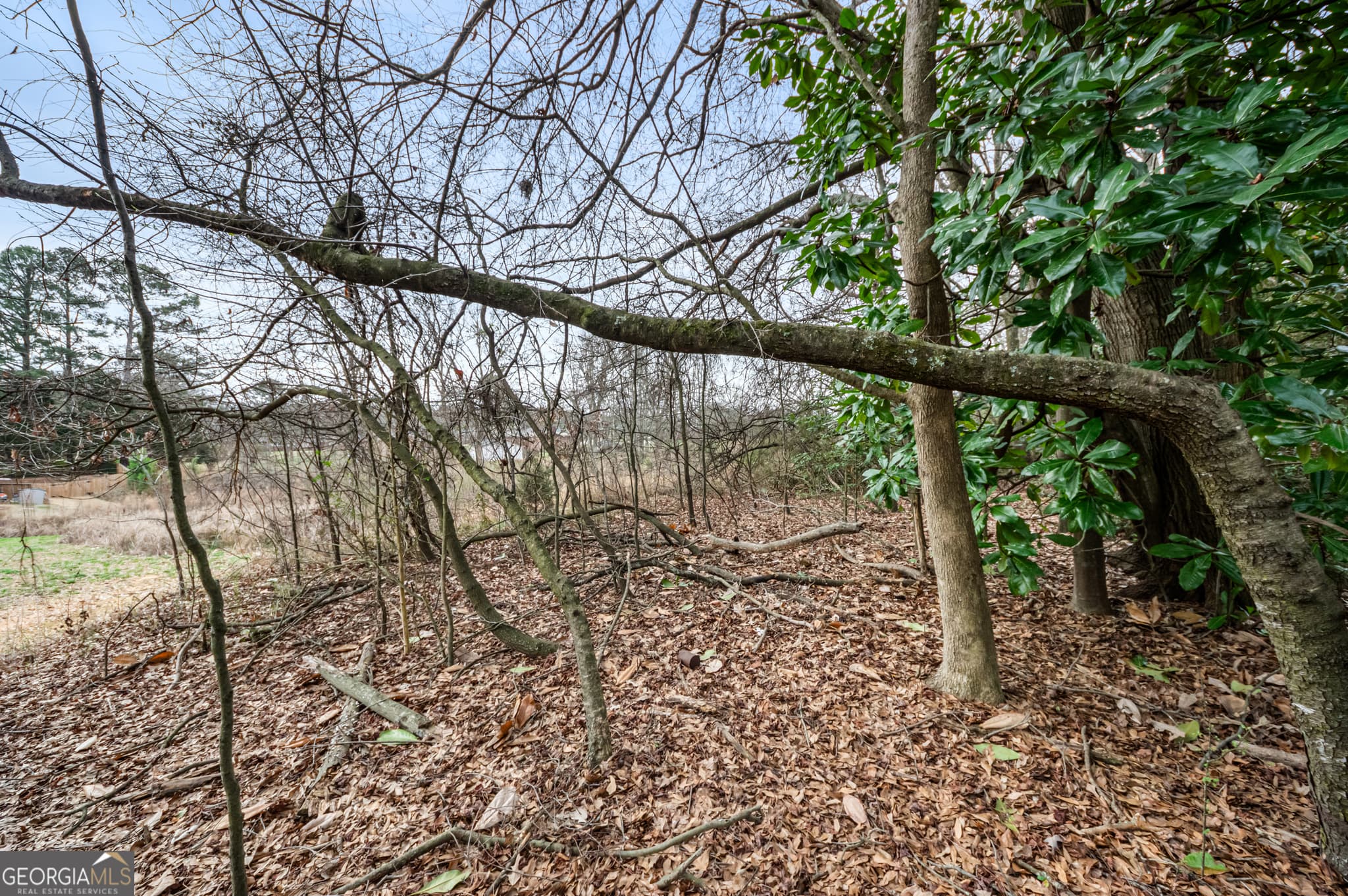 residential lot for sale at 0 Fairview Station, Hartwell, GA 30643 — photo 3