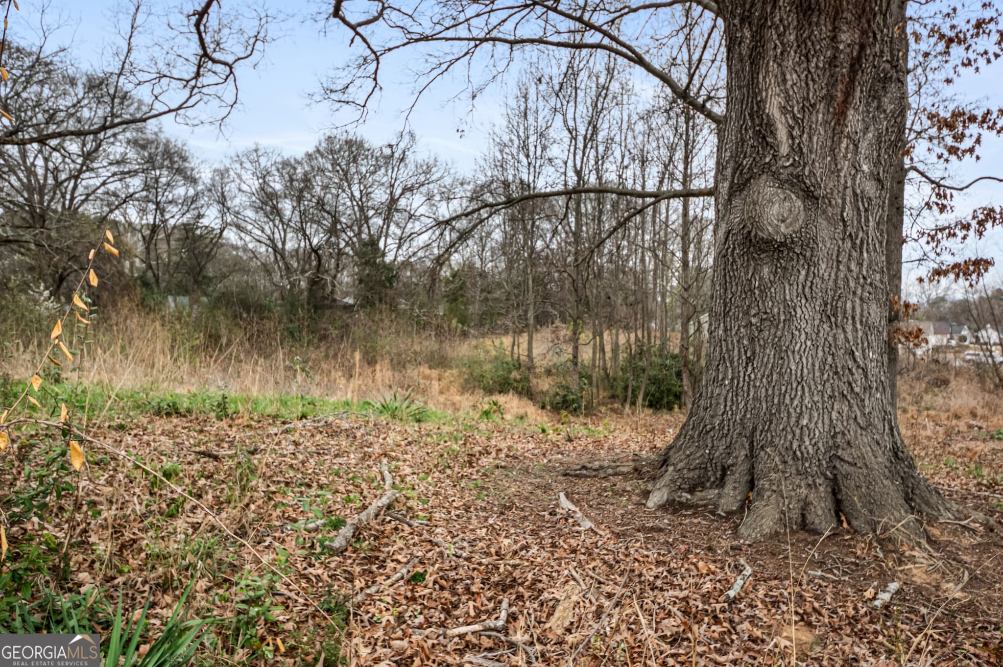 residential lot for sale at 0 Fairview Station, Hartwell, GA 30643 — photo 9