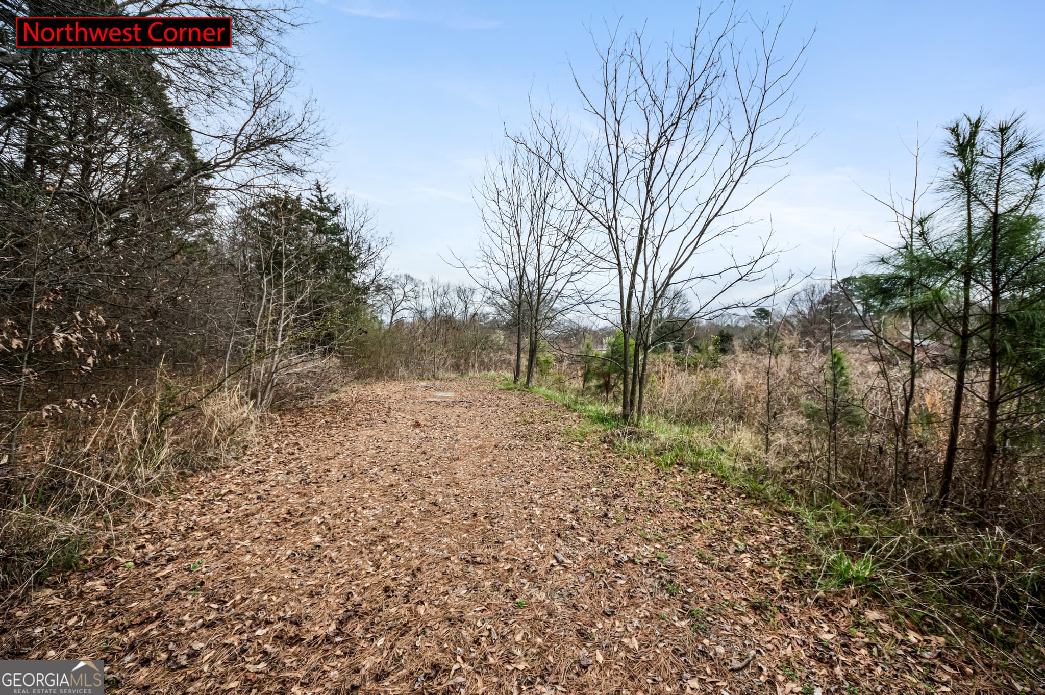 residential lot for sale at 0 Fairview Station, Hartwell, GA 30643 — photo 4