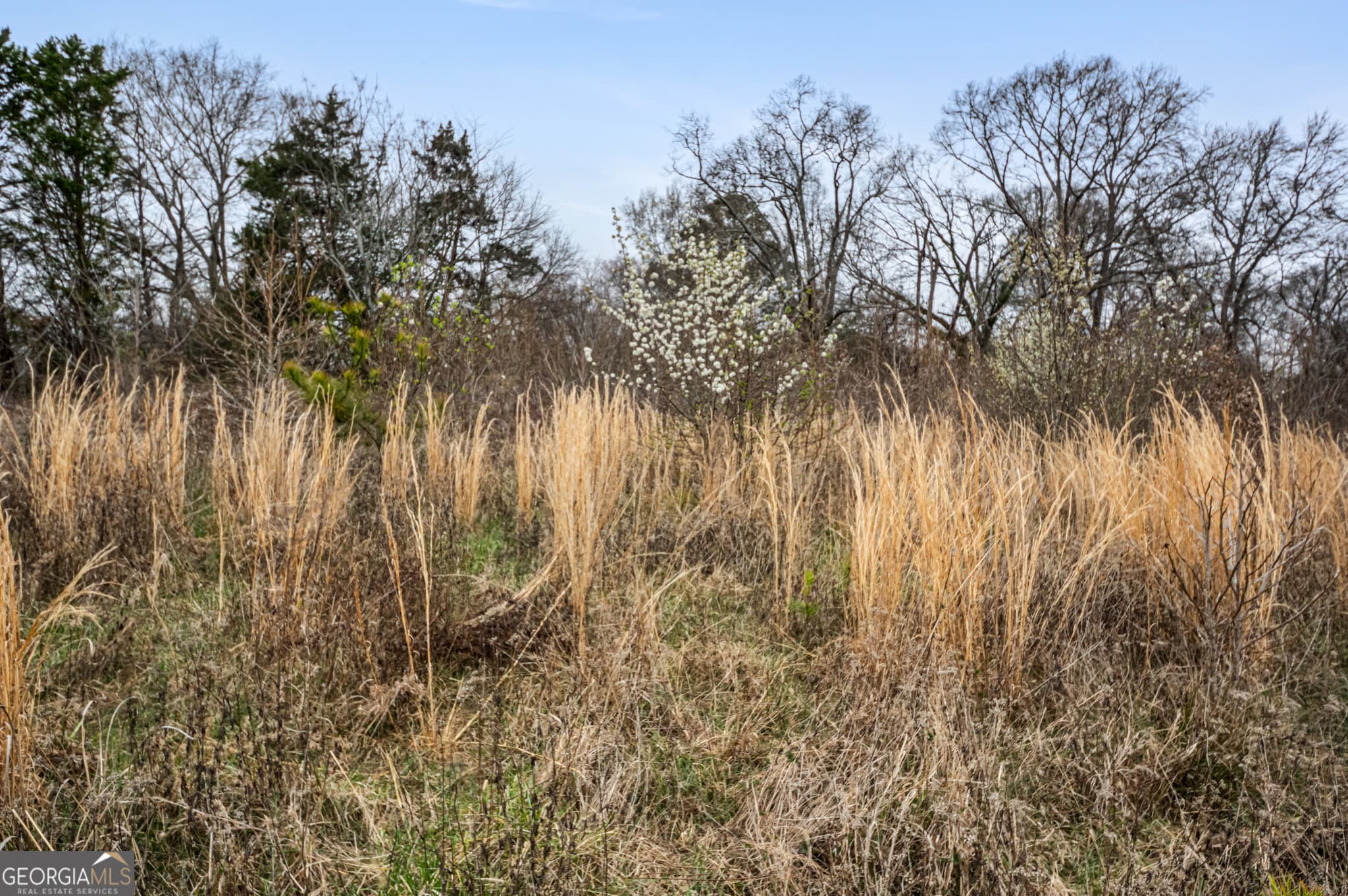 residential lot for sale at 0 Fairview Station, Hartwell, GA 30643 — photo 8