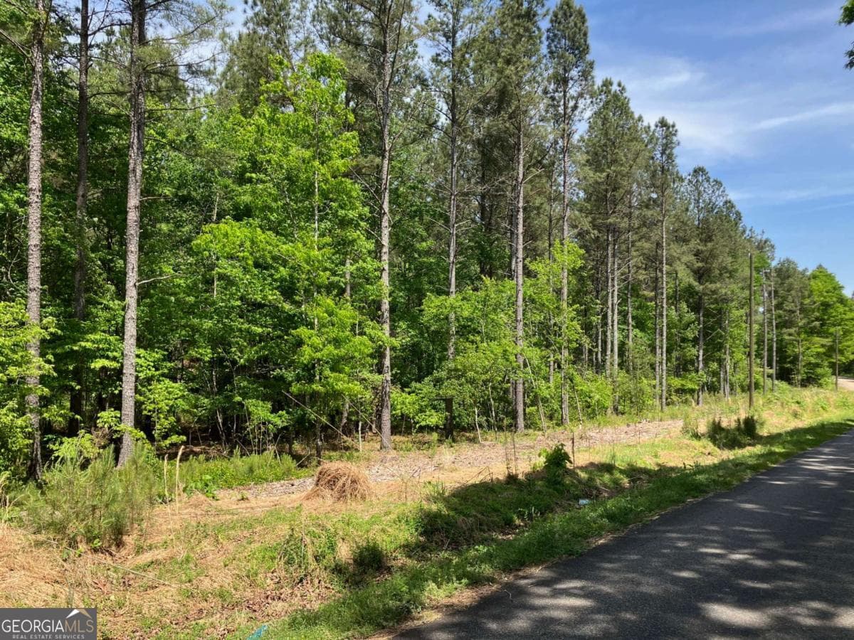 unimproved land for sale at 325 Rock Fence Road, Adairsville, GA 30103 — photo 6
