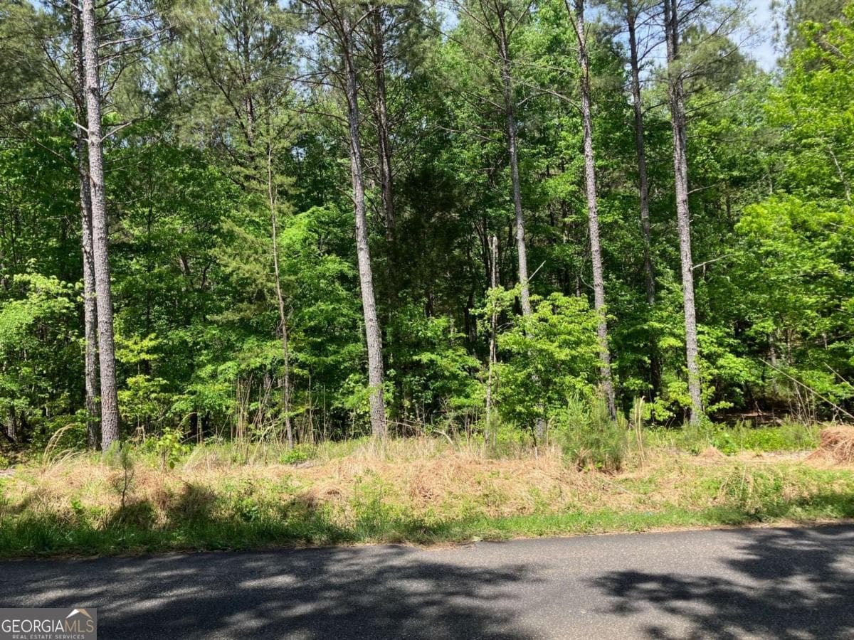 unimproved land for sale at 325 Rock Fence Road, Adairsville, GA 30103 — photo 7