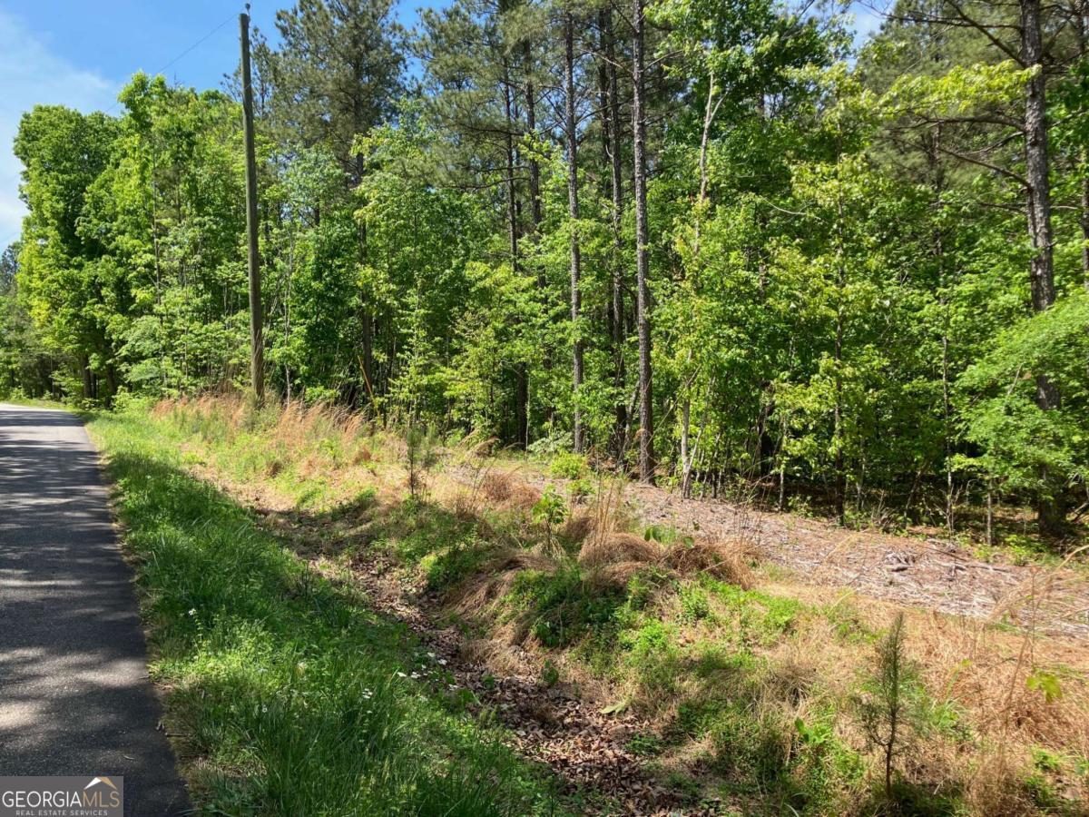 unimproved land for sale at 325 Rock Fence Road, Adairsville, GA 30103 — photo 3