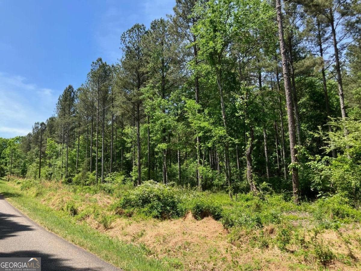 unimproved land for sale at 325 Rock Fence Road, Adairsville, GA 30103 — photo 1 of 8