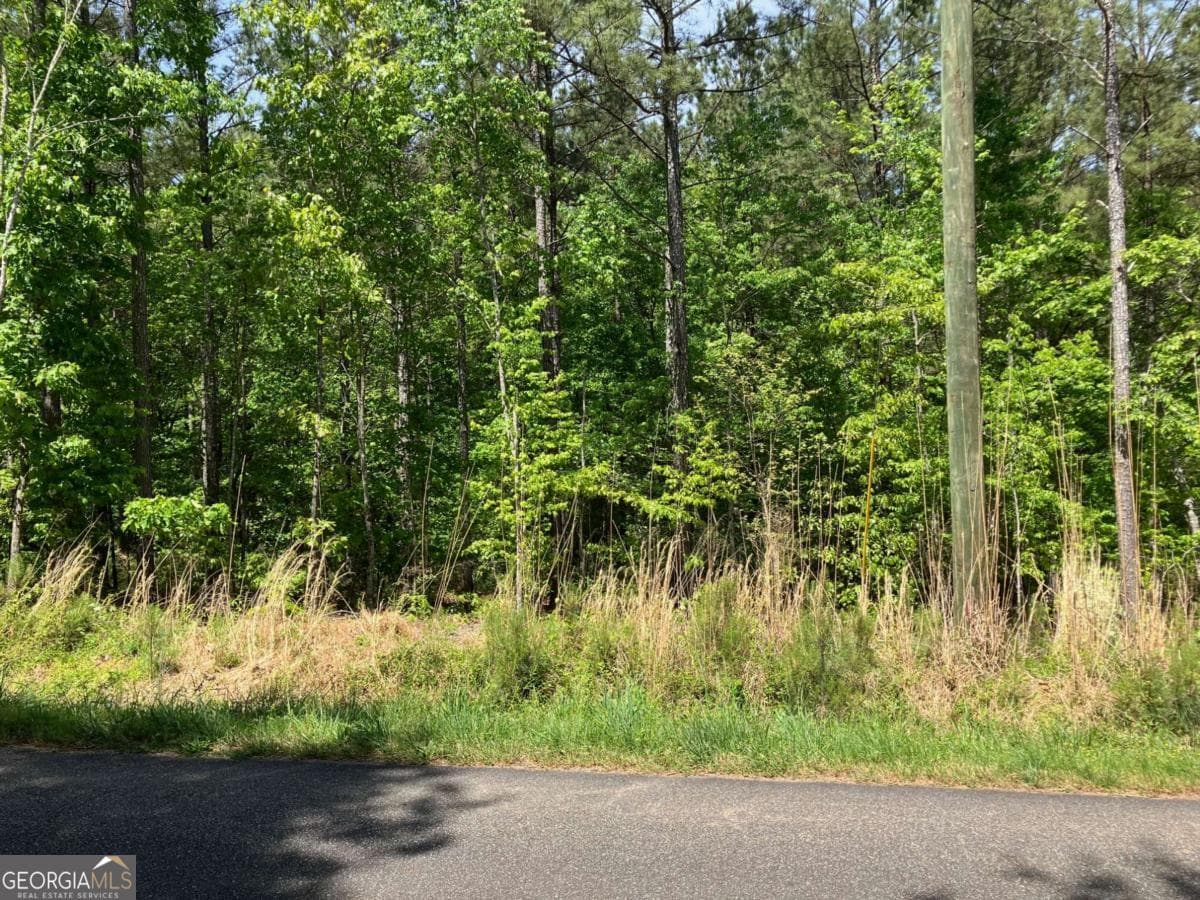 unimproved land for sale at 325 Rock Fence Road, Adairsville, GA 30103 — photo 5