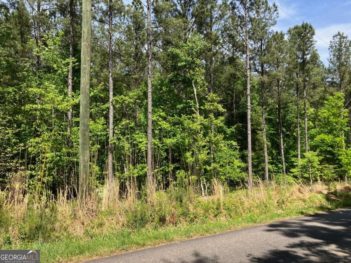 unimproved land for sale at 325 Rock Fence Road, Adairsville, GA 30103 — photo 4