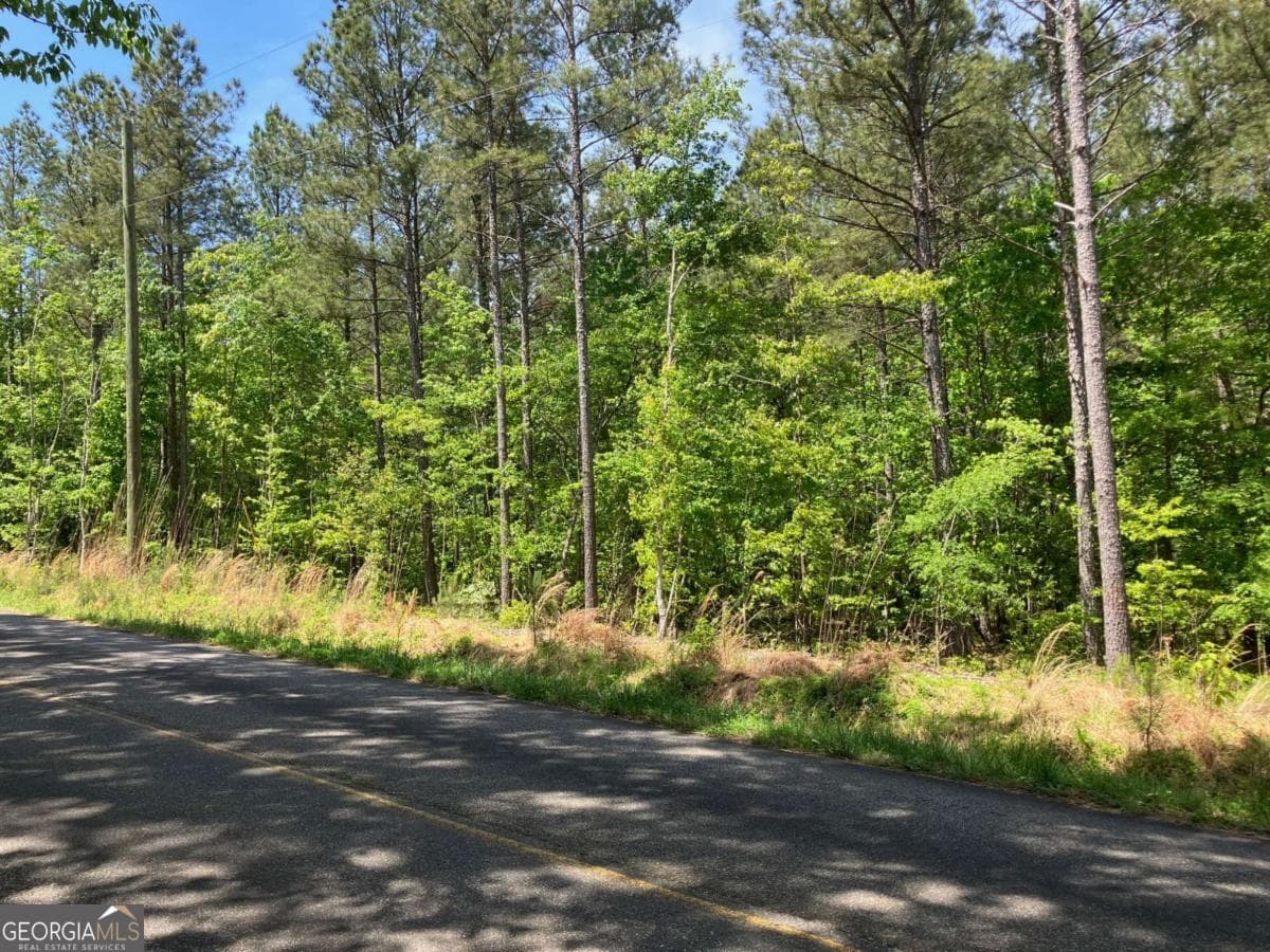 unimproved land for sale at 325 Rock Fence Road, Adairsville, GA 30103 — photo 8