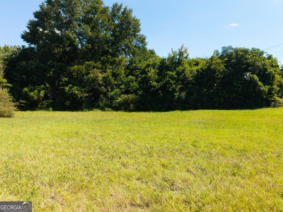 commercial for sale at 1360 Eatonton Road, Madison, GA 30650 — photo 8
