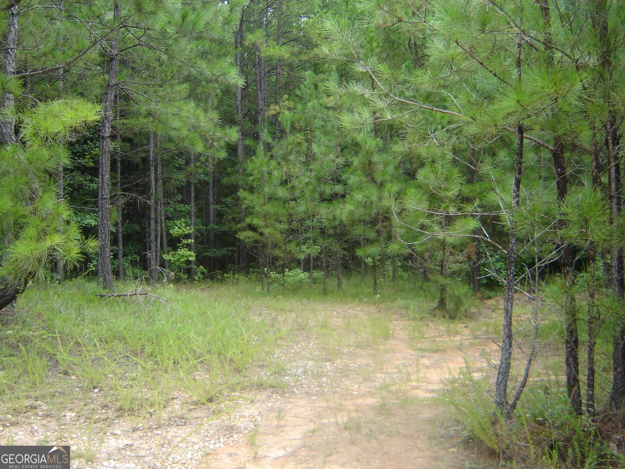estate lot for sale at 0 Covington Way, Lanett, AL 36863 — photo 6