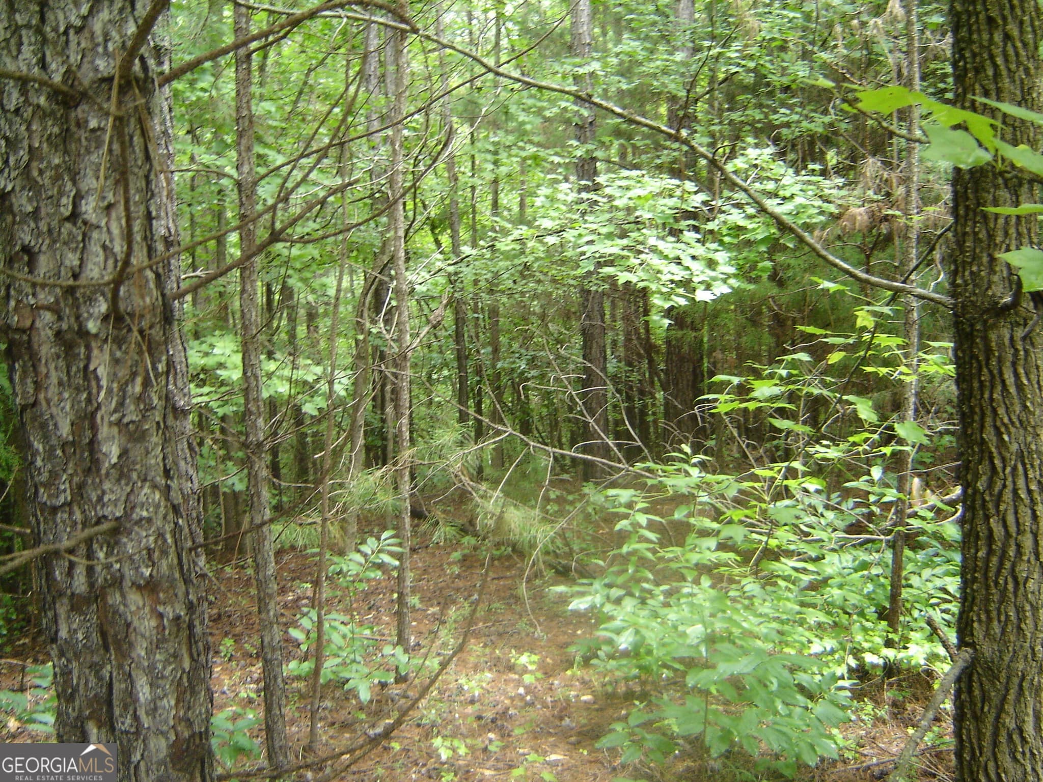 estate lot for sale at 0 Covington Way, Lanett, AL 36863 — photo 7