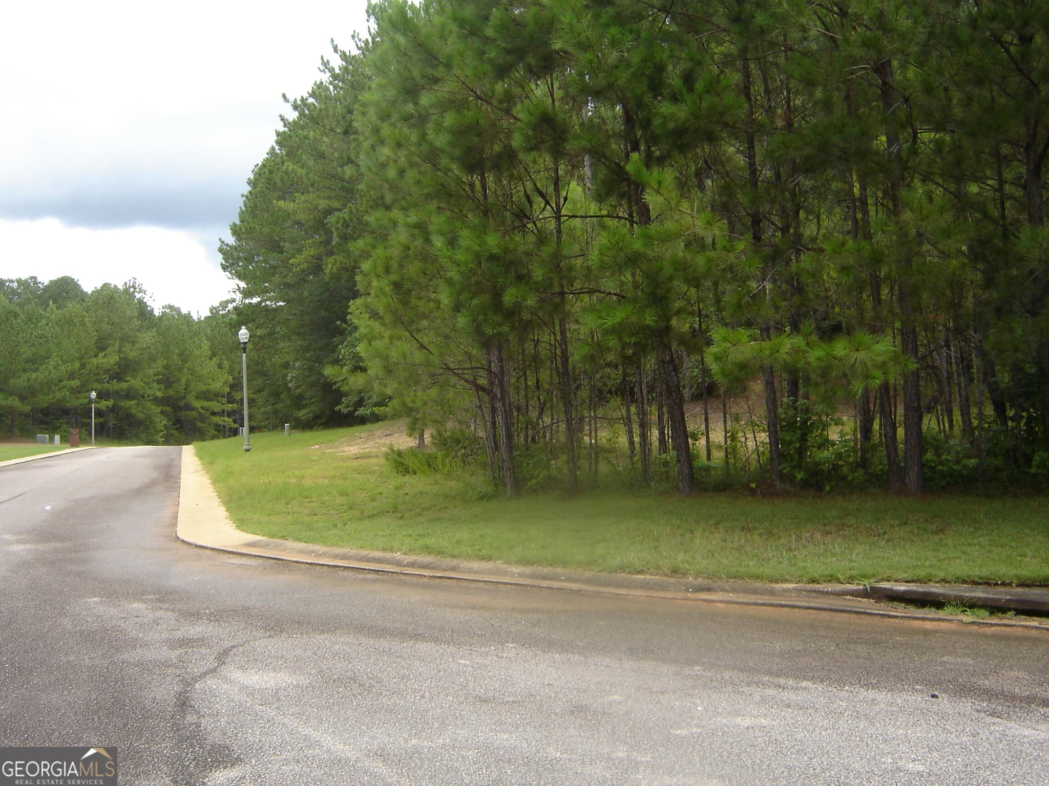 estate lot for sale at 0 Covington Way, Lanett, AL 36863 — photo 3