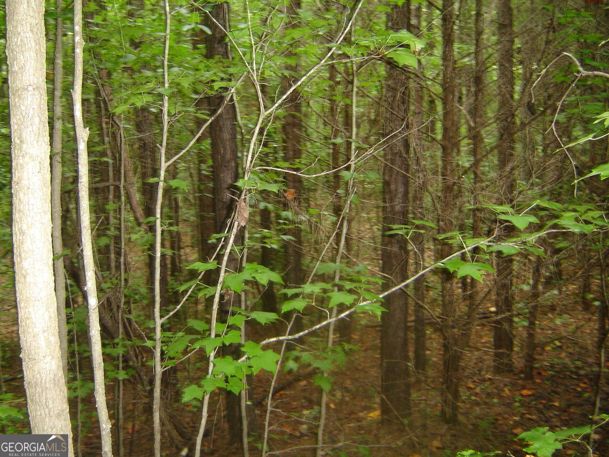 estate lot for sale at 0 Covington Way, Lanett, AL 36863 — photo 9